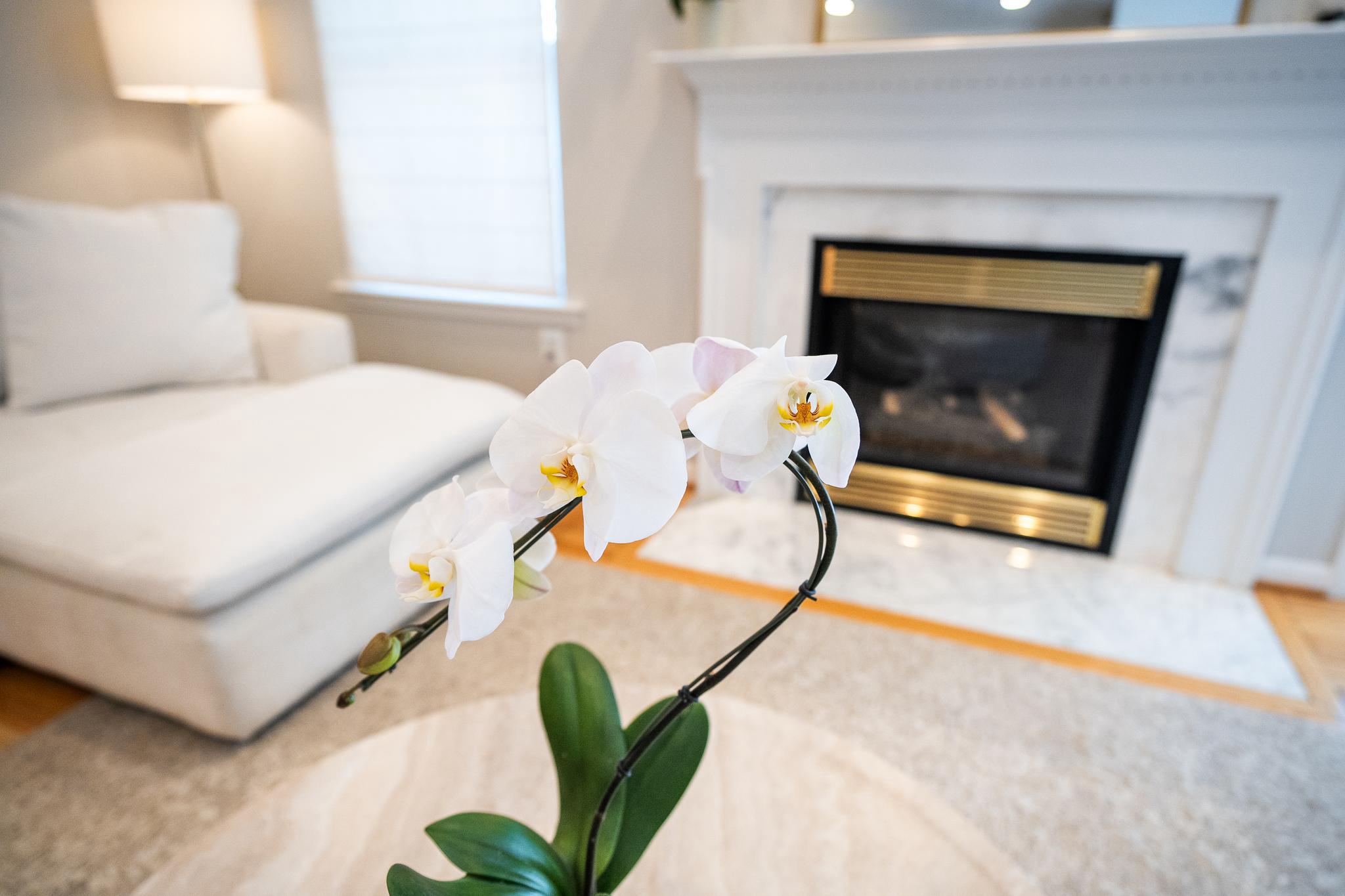  543 Francis Nicholson Way, Annapolis, MD, 21401 - 物件實景