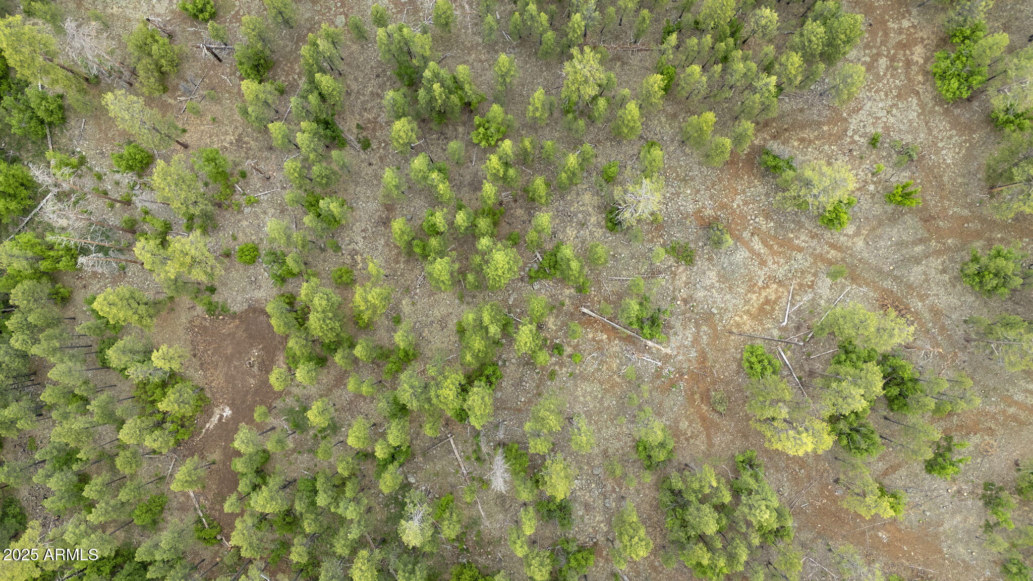Munds Park, Arizona, 86017, United States, ,Land,For Sale,1865500