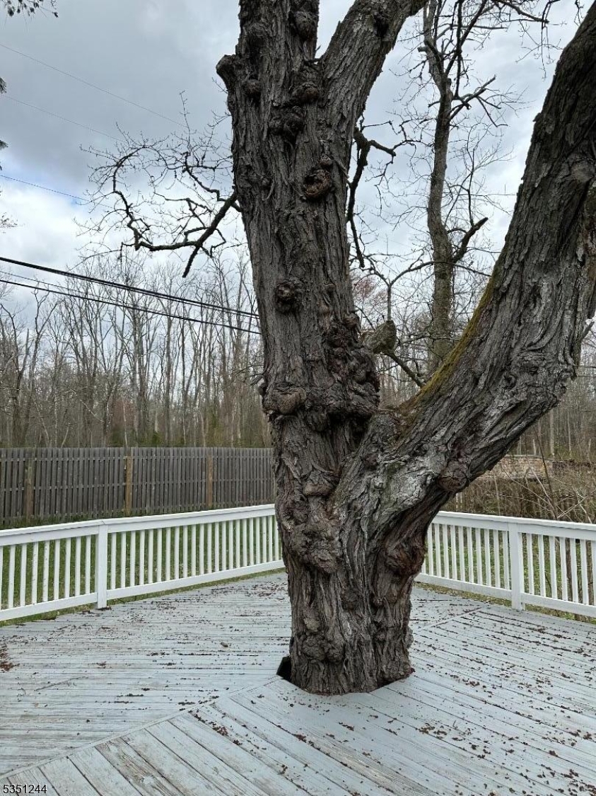 Bernards Twp., New Jersey, 07931, United States, 3 Bedrooms Bedrooms, ,2 BathroomsBathrooms,Residential,For Sale,1779682