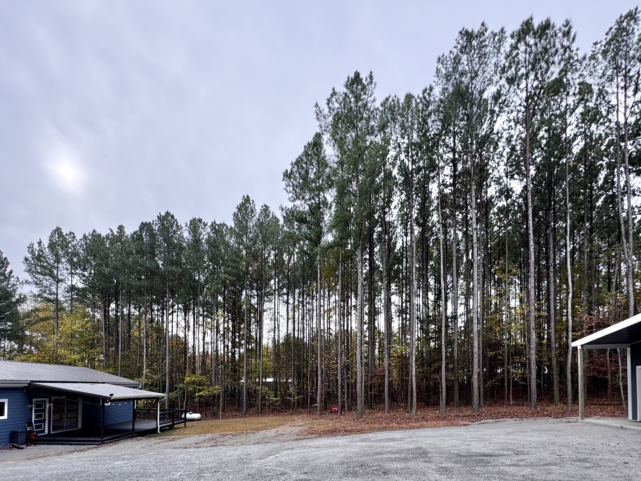 Lawrenceburg, Tennessee, 38464, United States, 3 Bedrooms Bedrooms, ,2 BathroomsBathrooms,Residential,For Sale,1988377