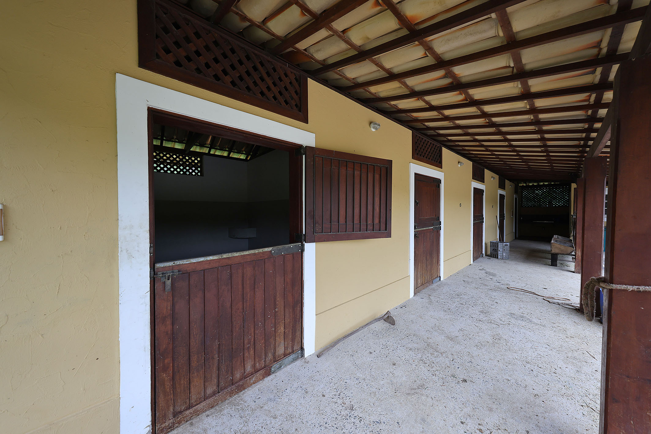  Renovated Farm with an Impressive Main Residence and Complete Infrastructure - 物件實景