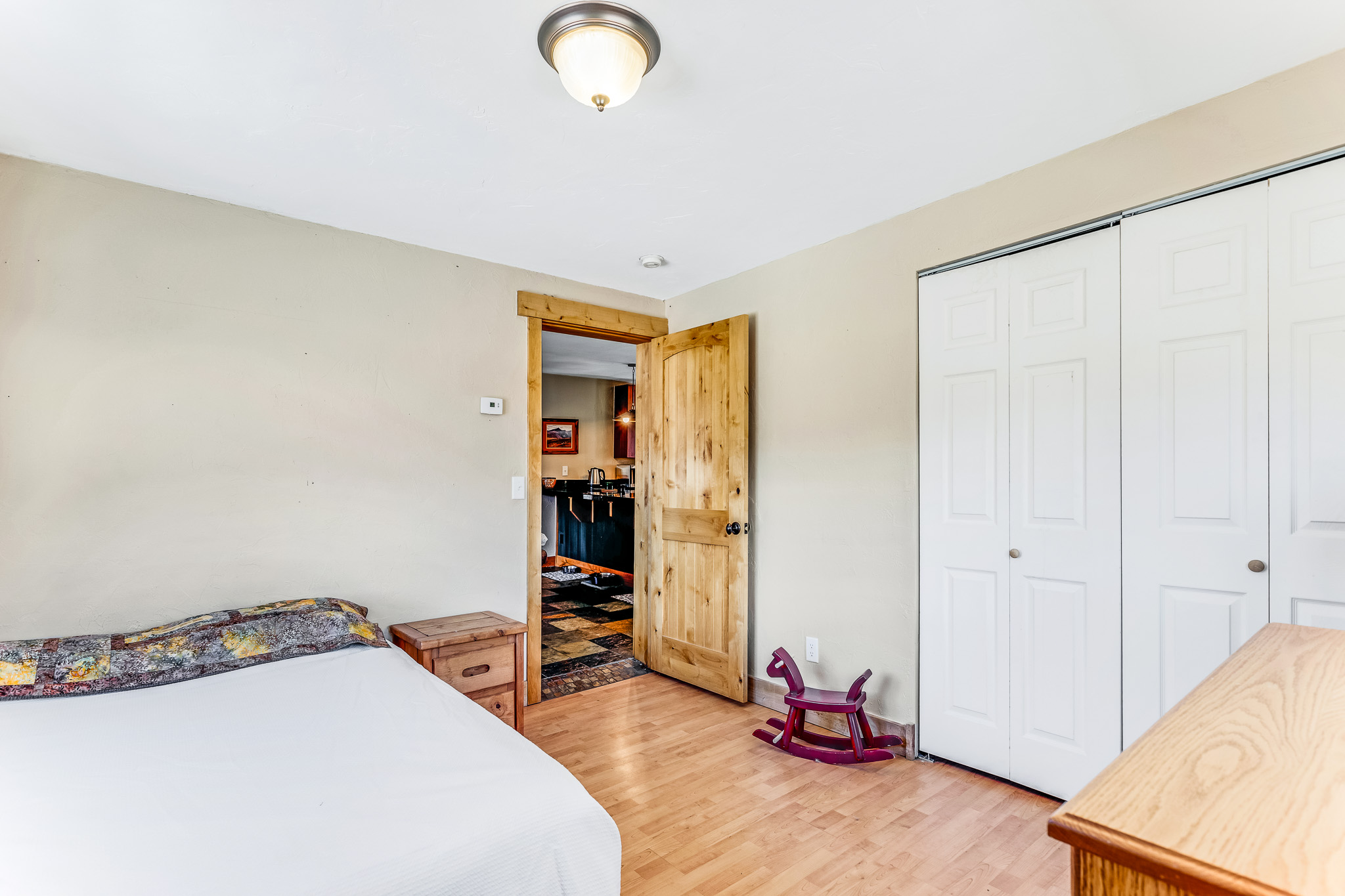  29 S Oak Street, Alma, CO, 80420 - 物件實景