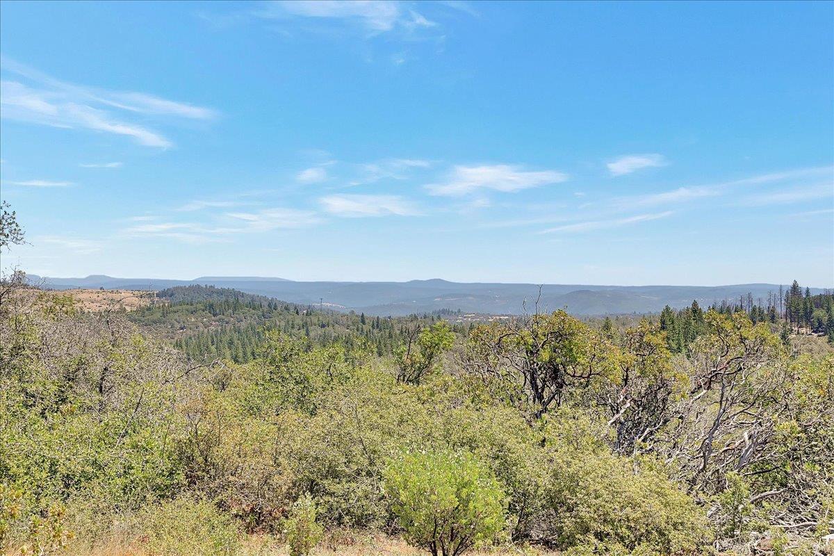 Oregon House, California, 95962, United States, ,Land,For Sale,1975767