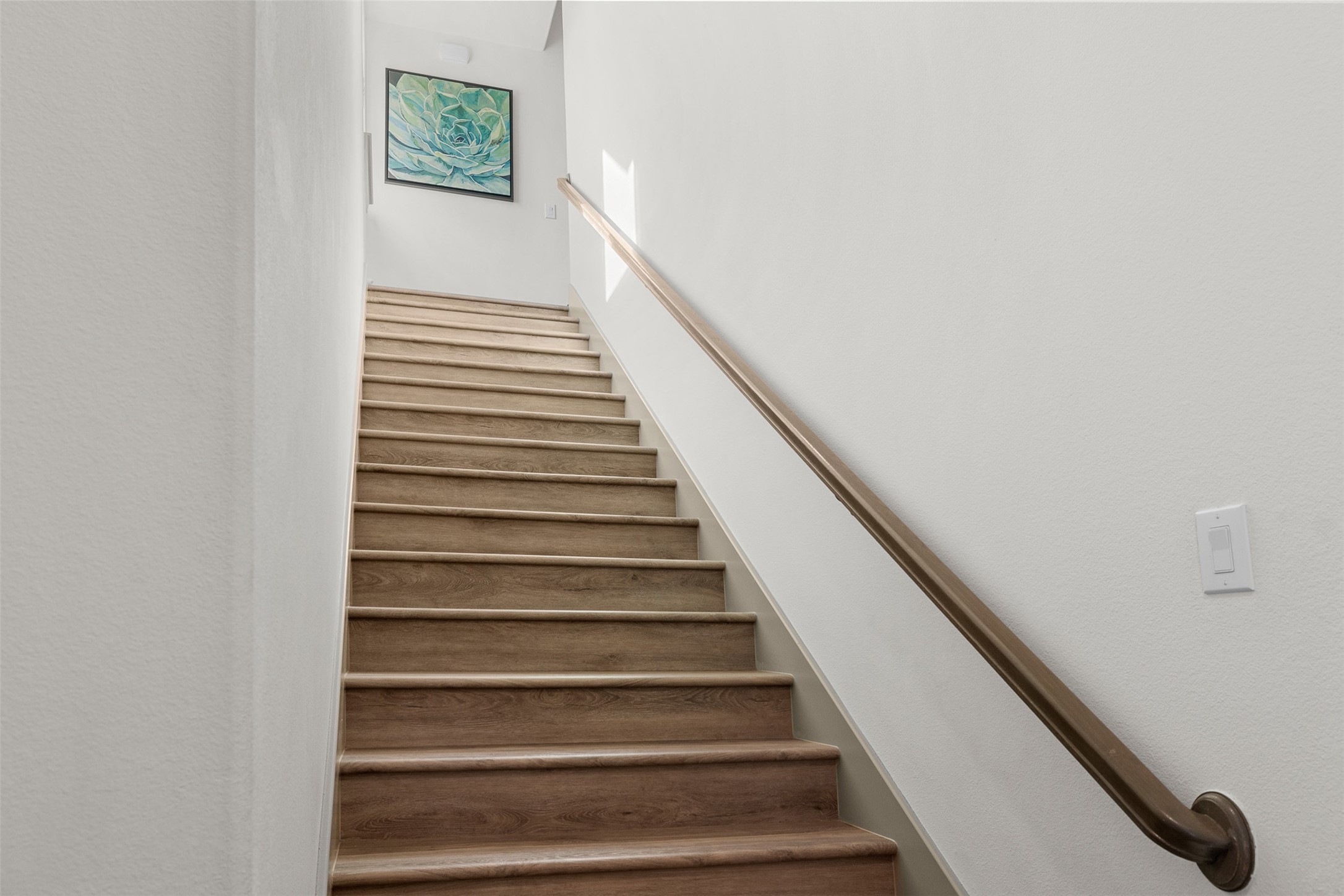  8603 Woods Hollow Trail, Fulshear, TX, 77406 - 物件實景