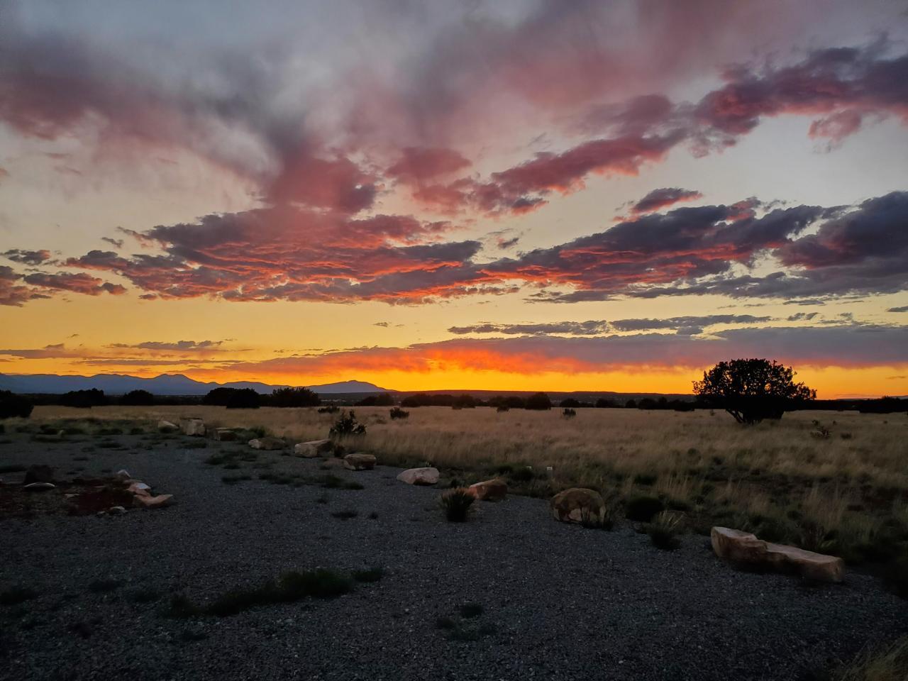 337 Scholle Road, Mountainair, New Mexico, 87036, United States, 3 Bedrooms Bedrooms, ,3 BathroomsBathrooms,Residential,For Sale,337 Scholle Road,1459491