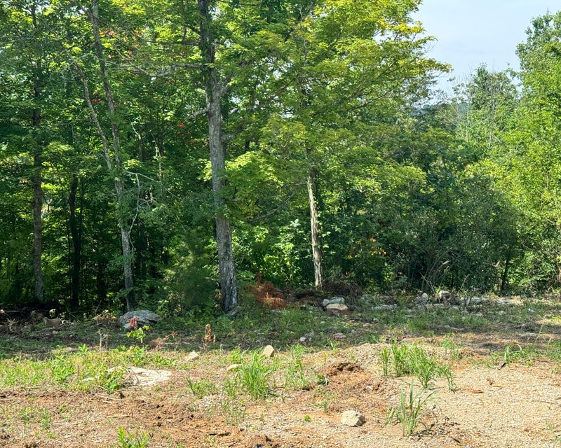 Somerset, Kentucky, 42501, United States, ,Residential,For Sale,1923151