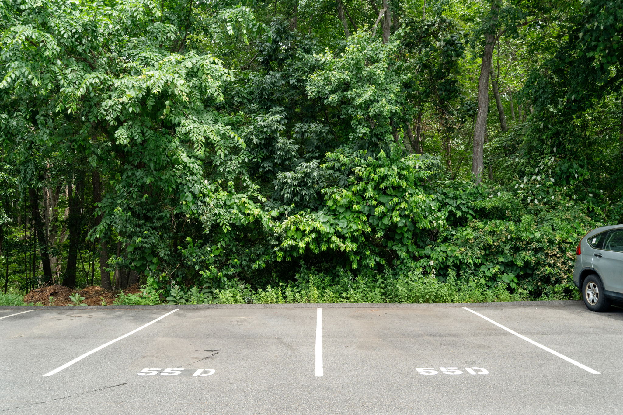  55 Brian Drive, Stoughton, MA, 02072 - 物件實景