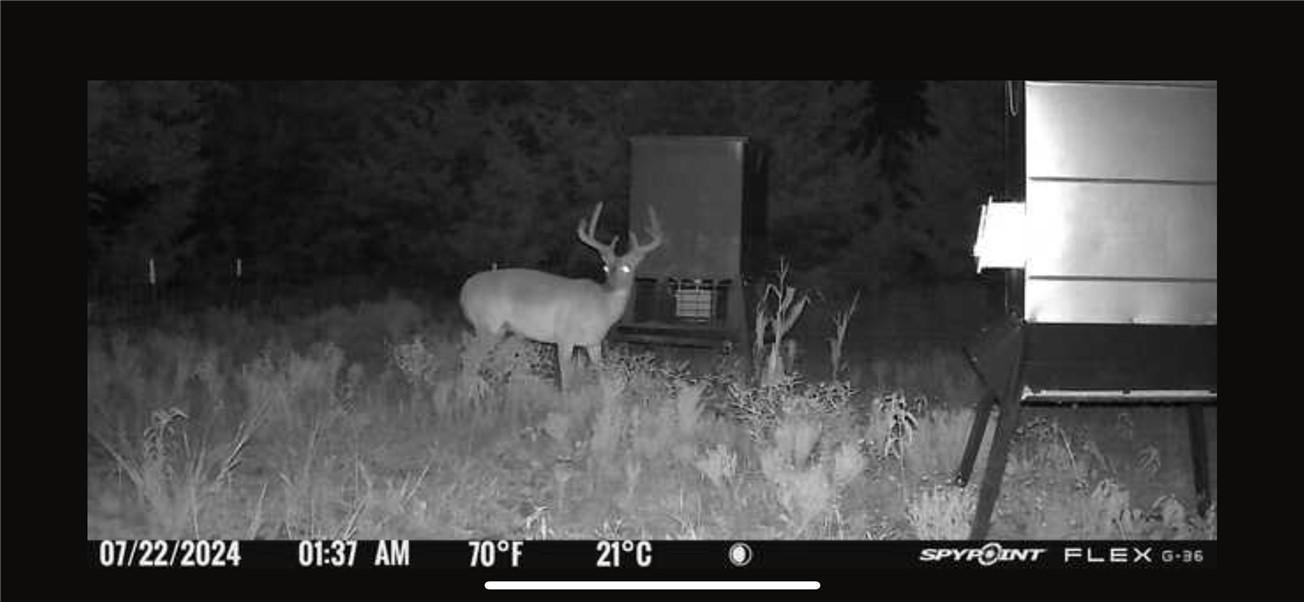 Thornton, Texas, 76687, United States, ,Land,For Sale,2003074