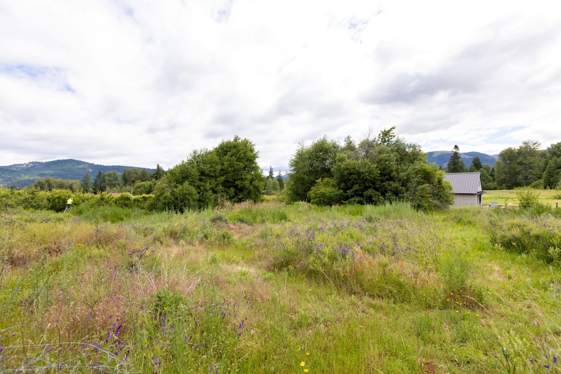  6455 TROUT CREEK RIDGE RD Mt Hood Prkdl, OR 97041 - 物件實景