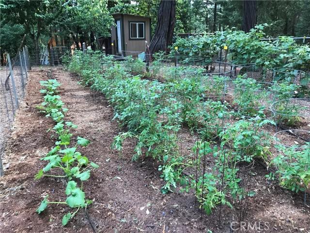 Magalia, California, 95954, United States, 3 Bedrooms Bedrooms, ,3 BathroomsBathrooms,Residential,For Sale,2008830