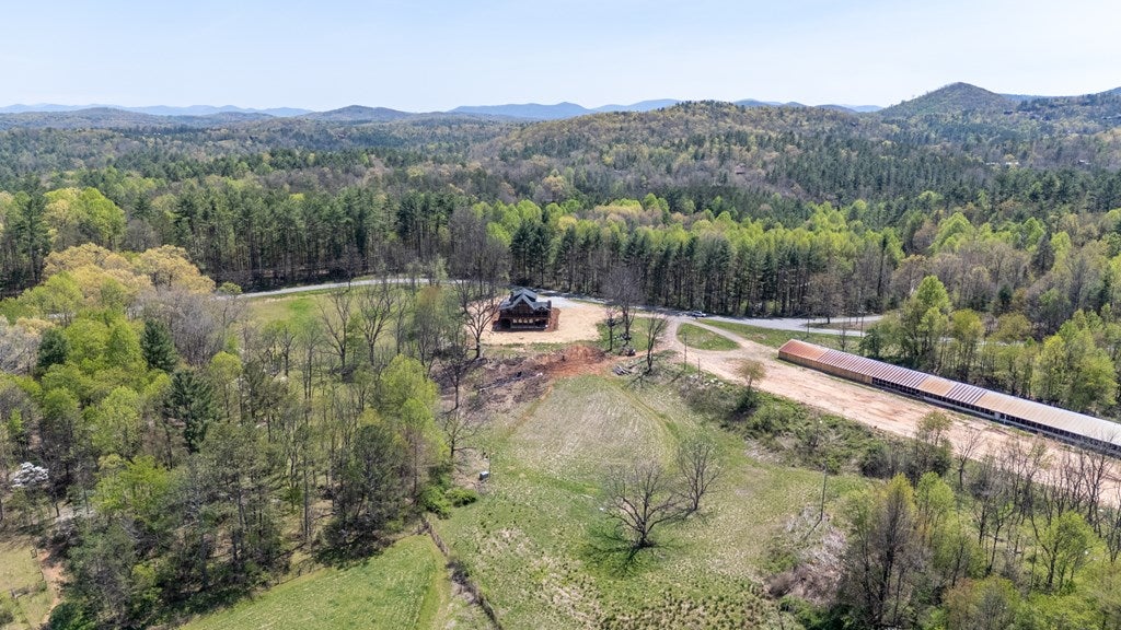 Blue Ridge, Georgia, 30513, United States, 4 Bedrooms Bedrooms, ,4 BathroomsBathrooms,Residential,For Sale,1804354