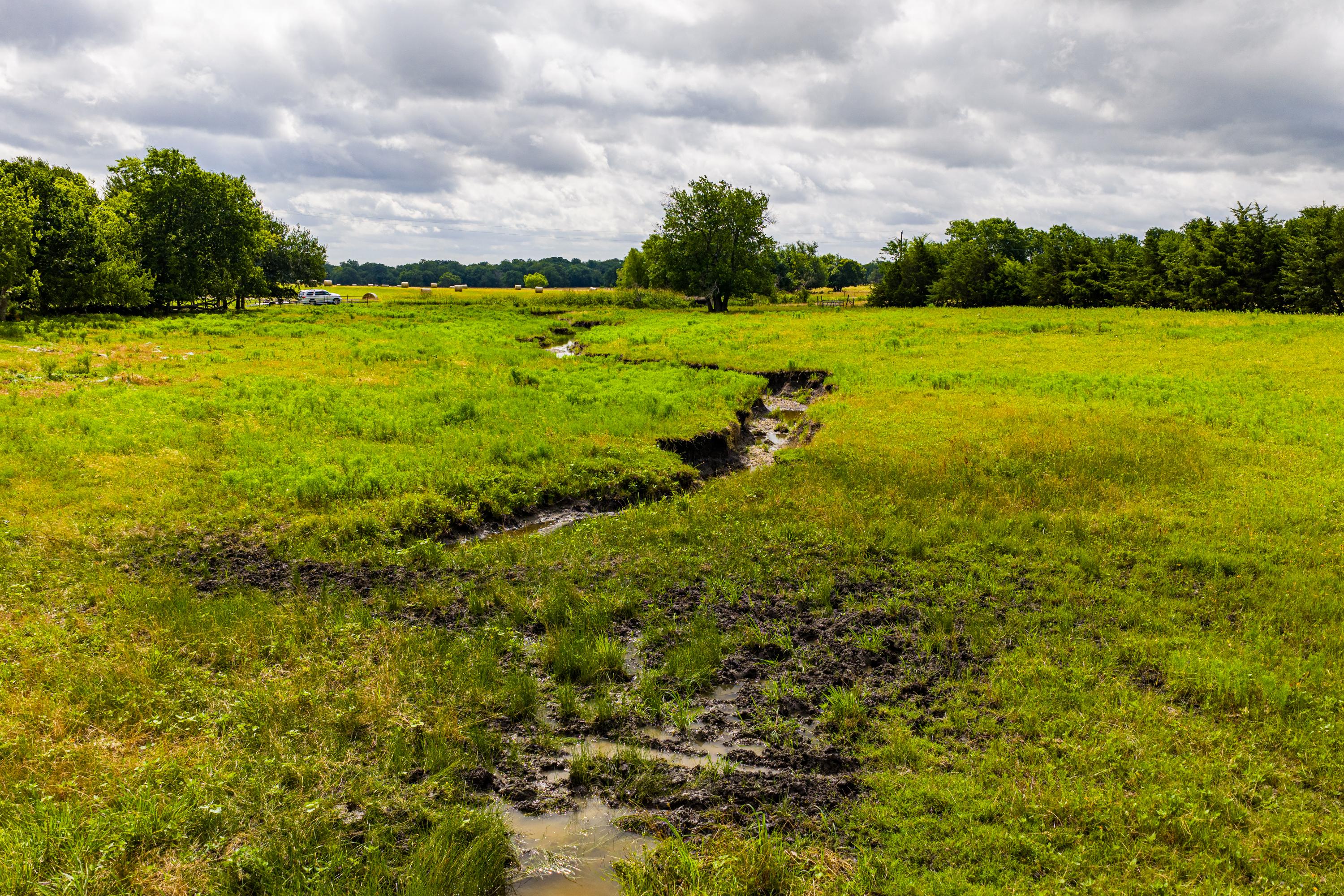  Hickory Creek Ranch - 物件實景