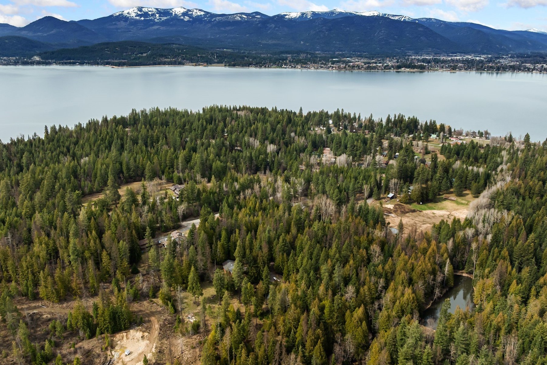  Tree Farm & Home on 6+ Acres - 物件實景