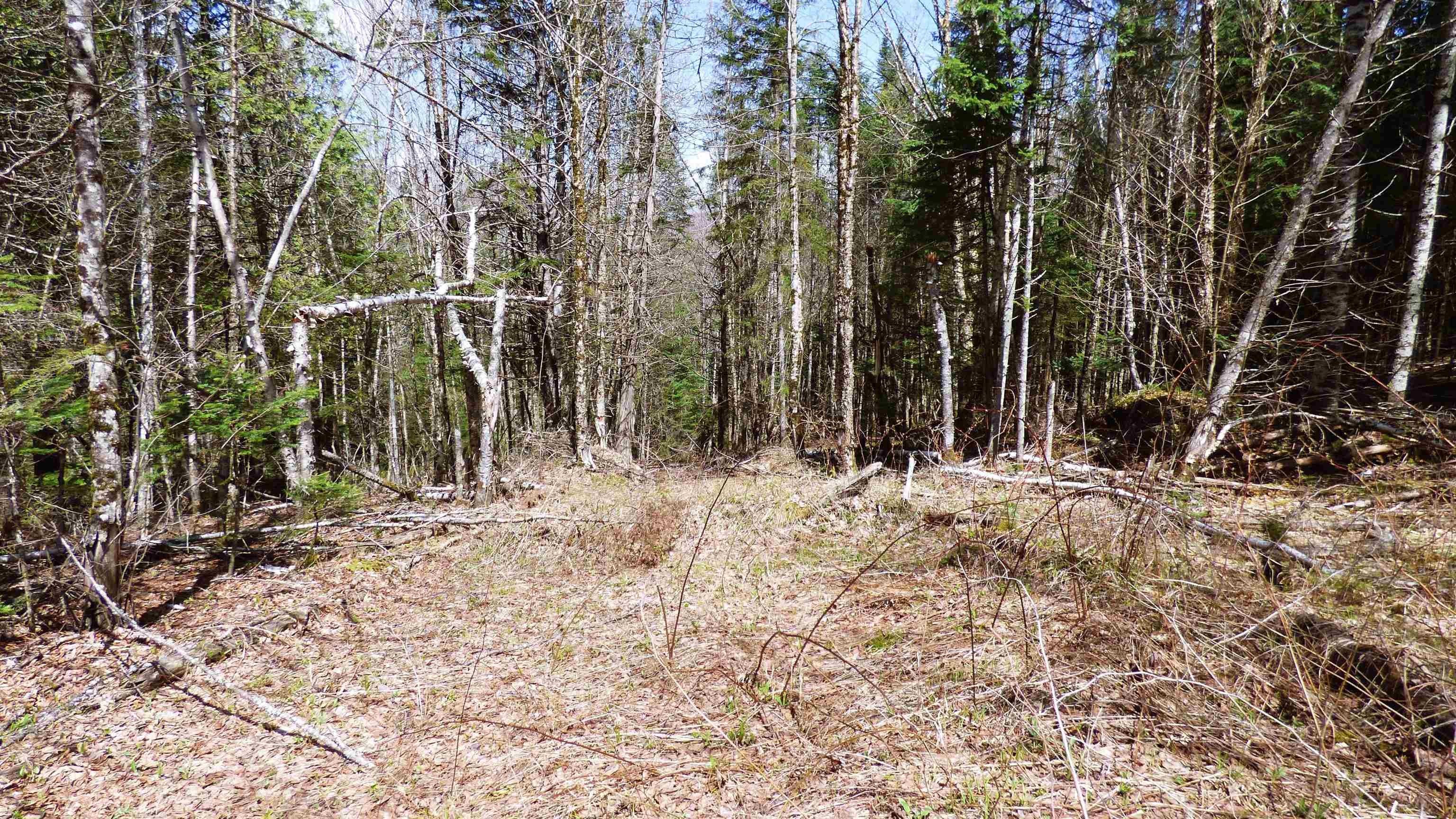 Wheelock, Vermont, 05851, United States, ,Land,For Sale,2017669