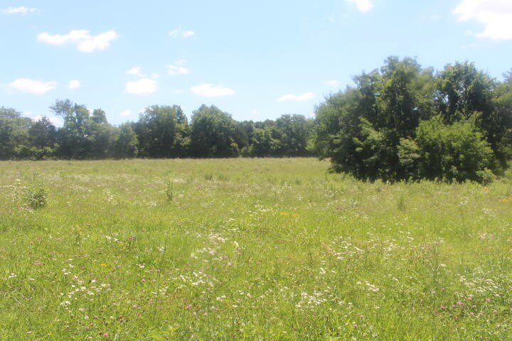 Polk, Missouri, 65727, United States, ,Land,For Sale,1980569