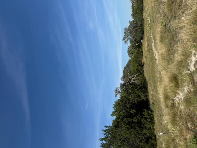 Fredericksburg, Texas, 78624, United States, 3 Bedrooms Bedrooms, ,2 BathroomsBathrooms,Residential,For Sale,1984349