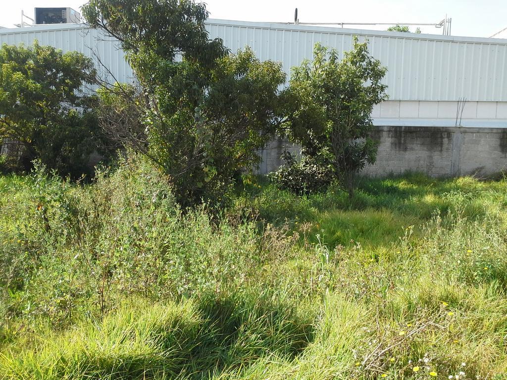 Tultitlán, Estado de México, 54910, Mexico, 1 Bedroom Bedrooms, ,Residential,For Sale,1927402
