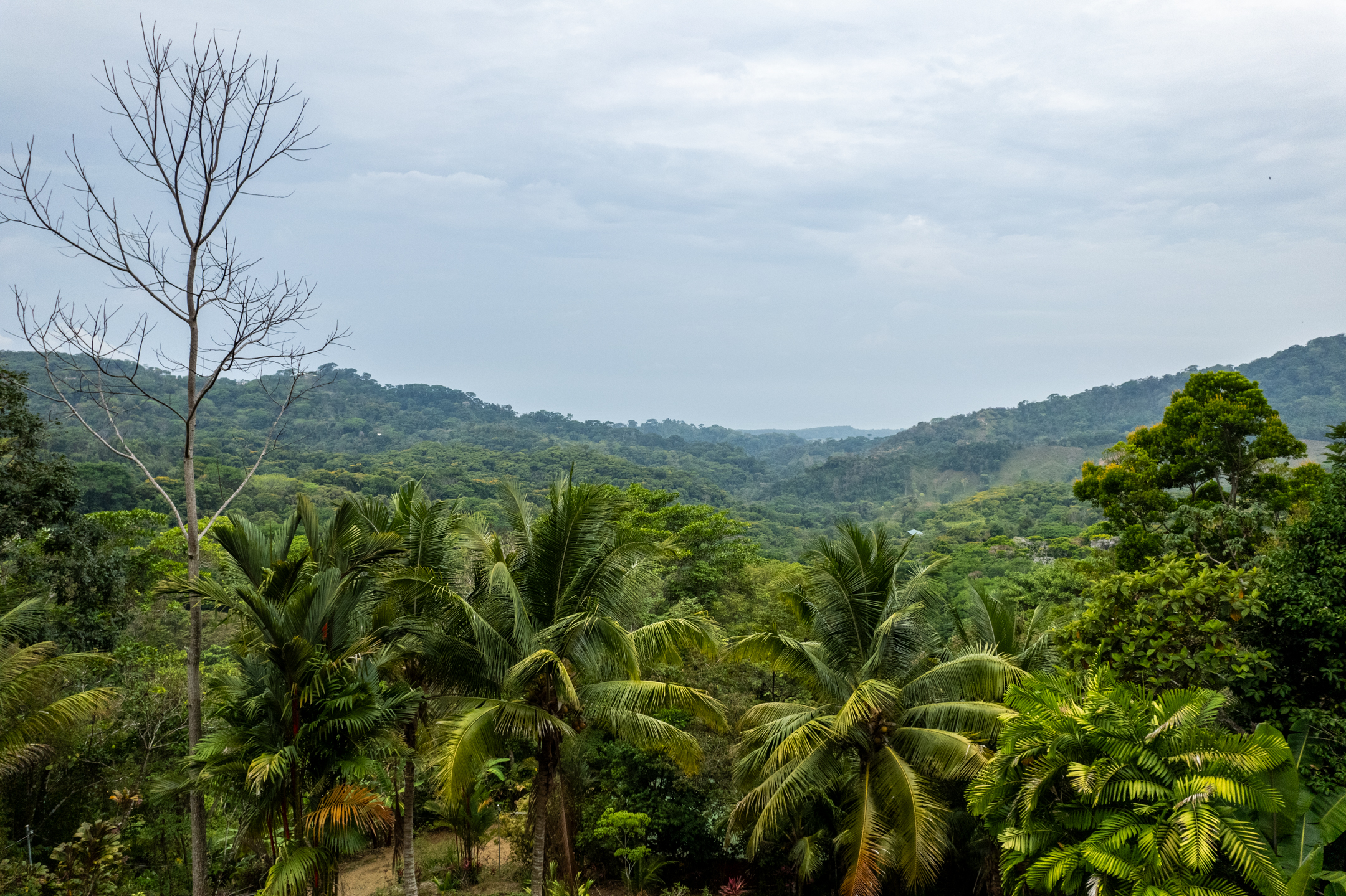 Lagunas, Dominical, Puntarenas, CR, 2 Bedrooms Bedrooms, ,1 BathroomBathrooms,Land,For Sale,Lagunas,1589118