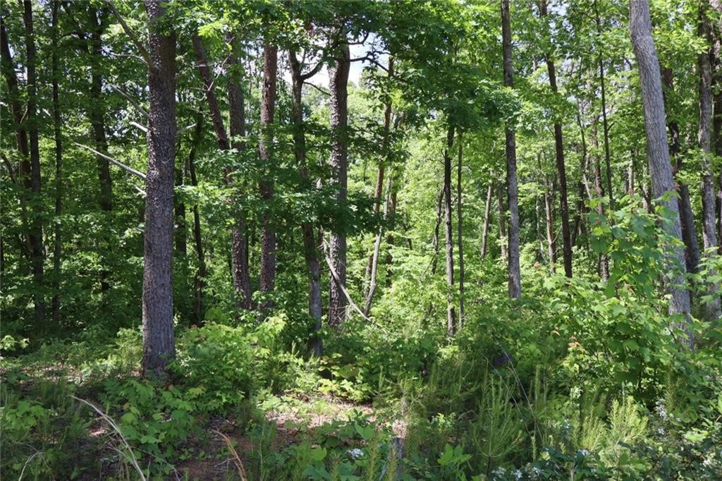 Ellijay, Georgia, 30540, United States, ,Residential,For Sale,1881390