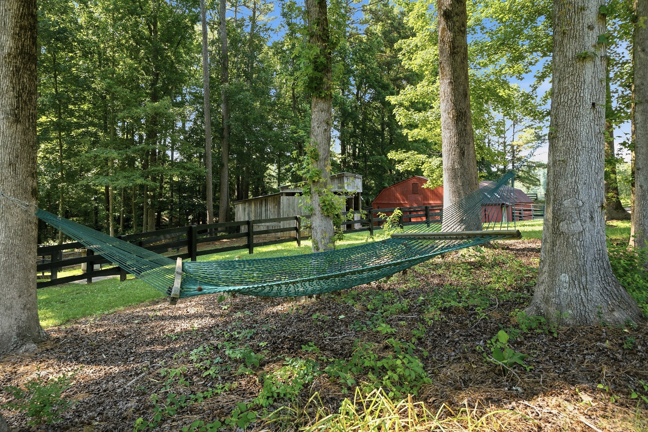  Exceptional Brick Ranch on 5+/- Picturesque Acres - 物件實景