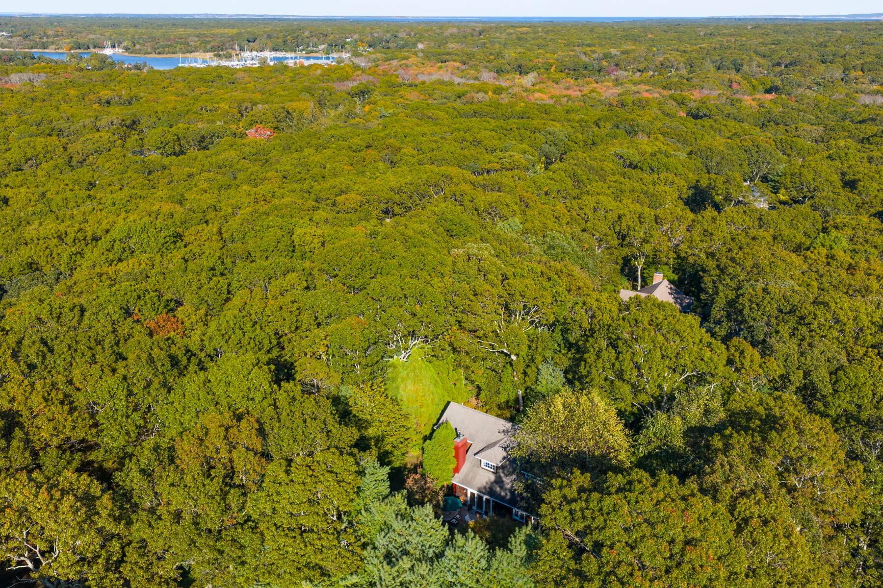  Sophisticated Living in Serene East Hampton Oasis - 物件實景
