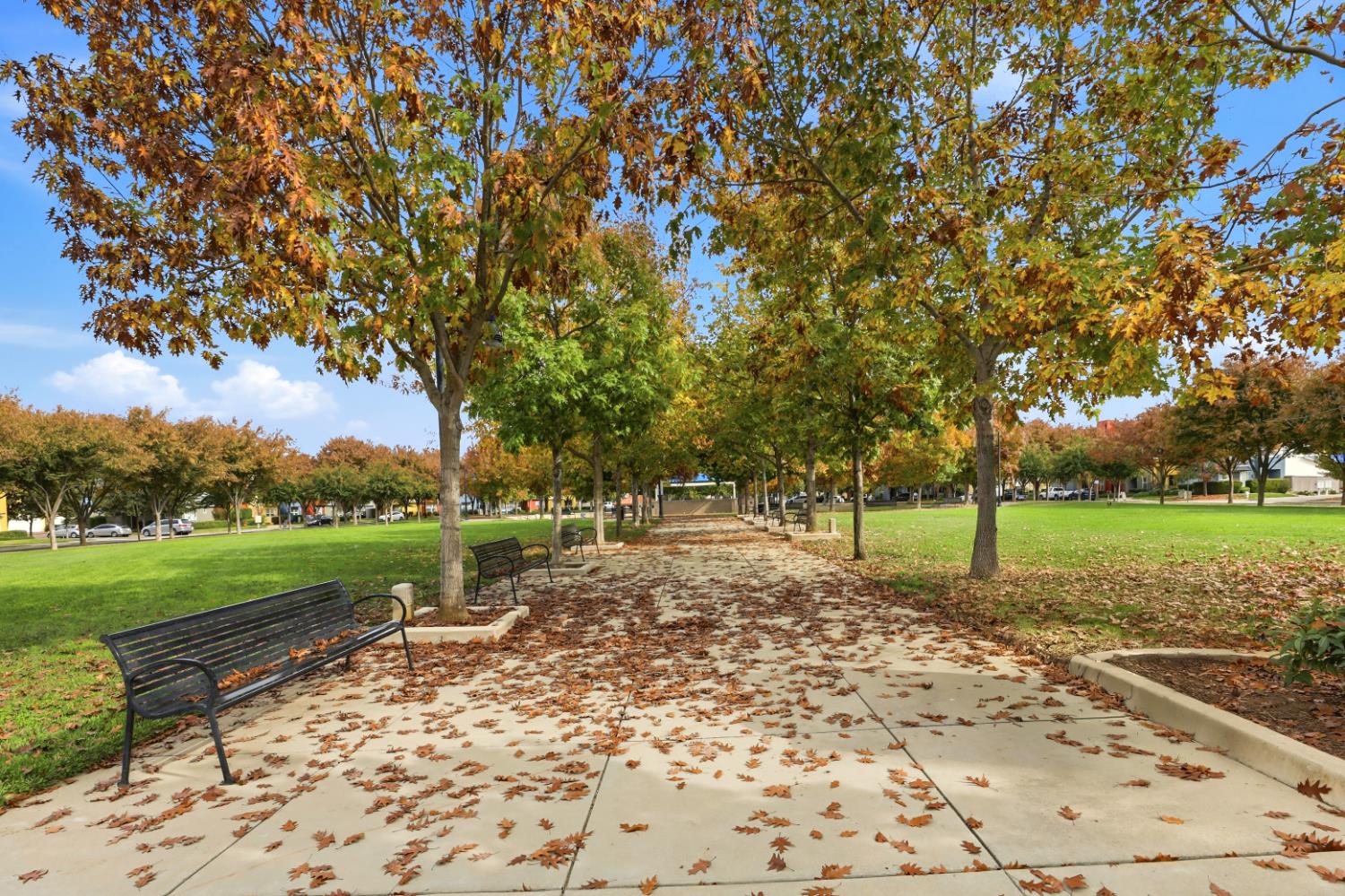 Rancho Cordova, California, 95670, United States, 3 Bedrooms Bedrooms, ,3 BathroomsBathrooms,Residential,For Sale,1991437