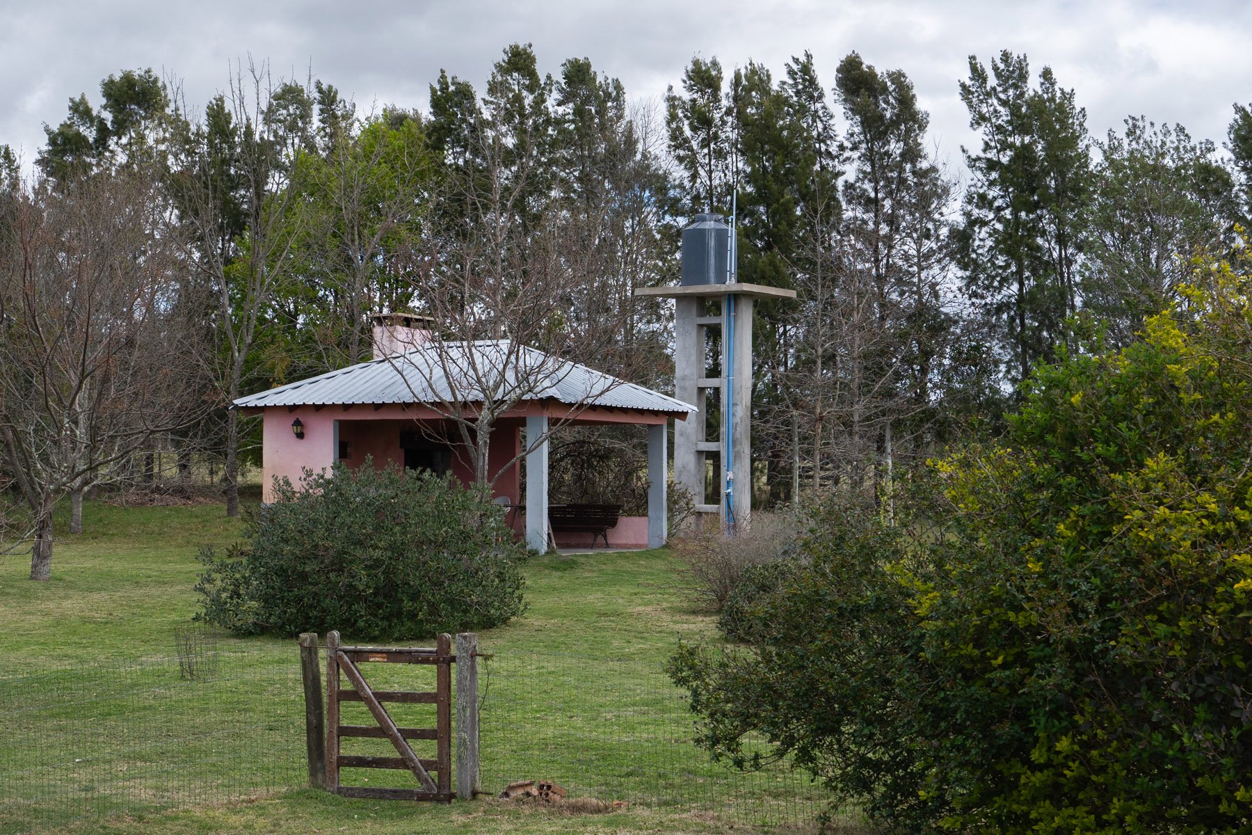  5-hectare farm in Pueblo Edén. - 物件實景
