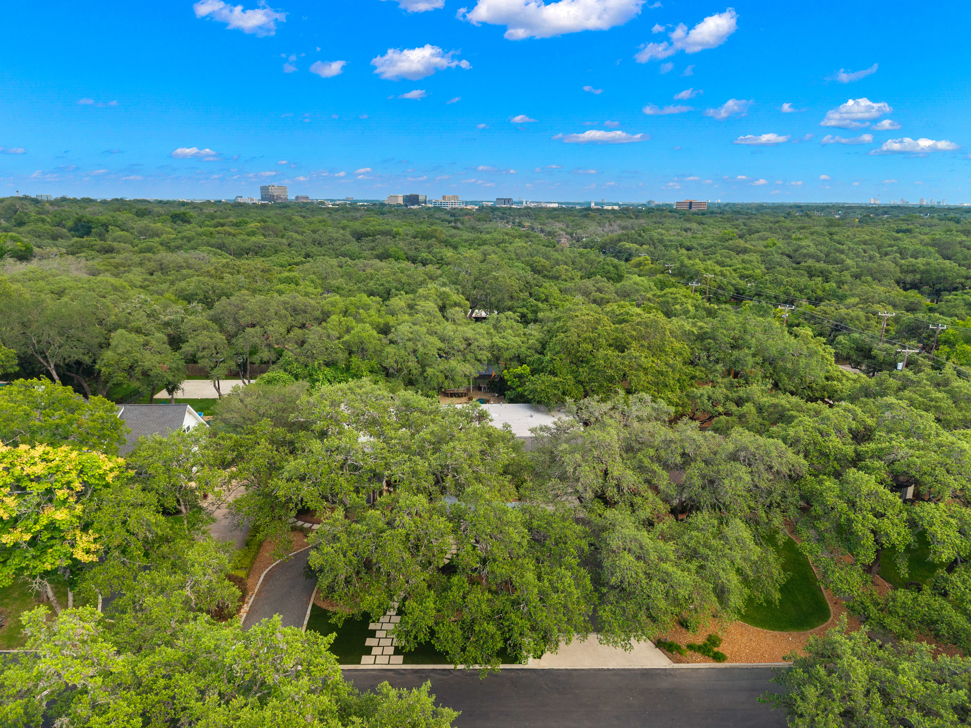  Private Oak-Shaded Estate in Castle Hills - 物件實景