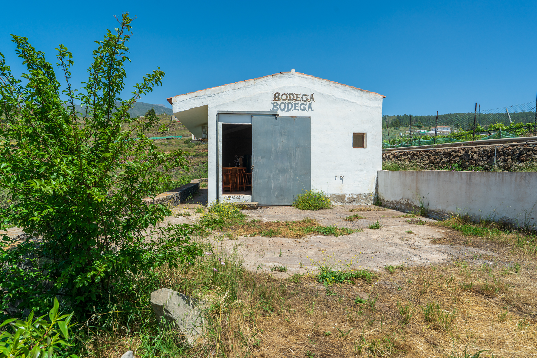  Traditional Agricultural Estate with Winery in Tenerife South - 物件實景