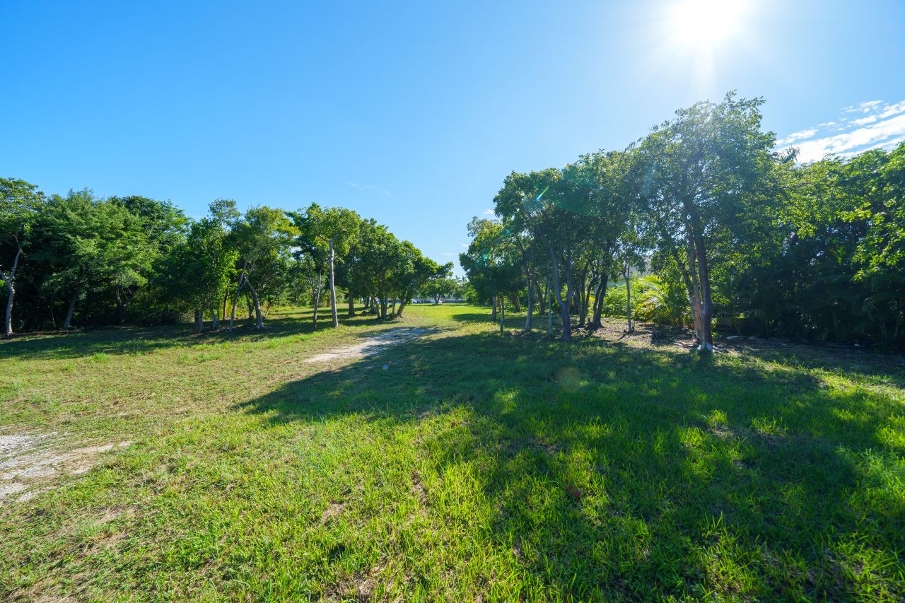 Port New Providence, Nassau / New Providence, New Providence, BS, ,Land,For Sale,1989286