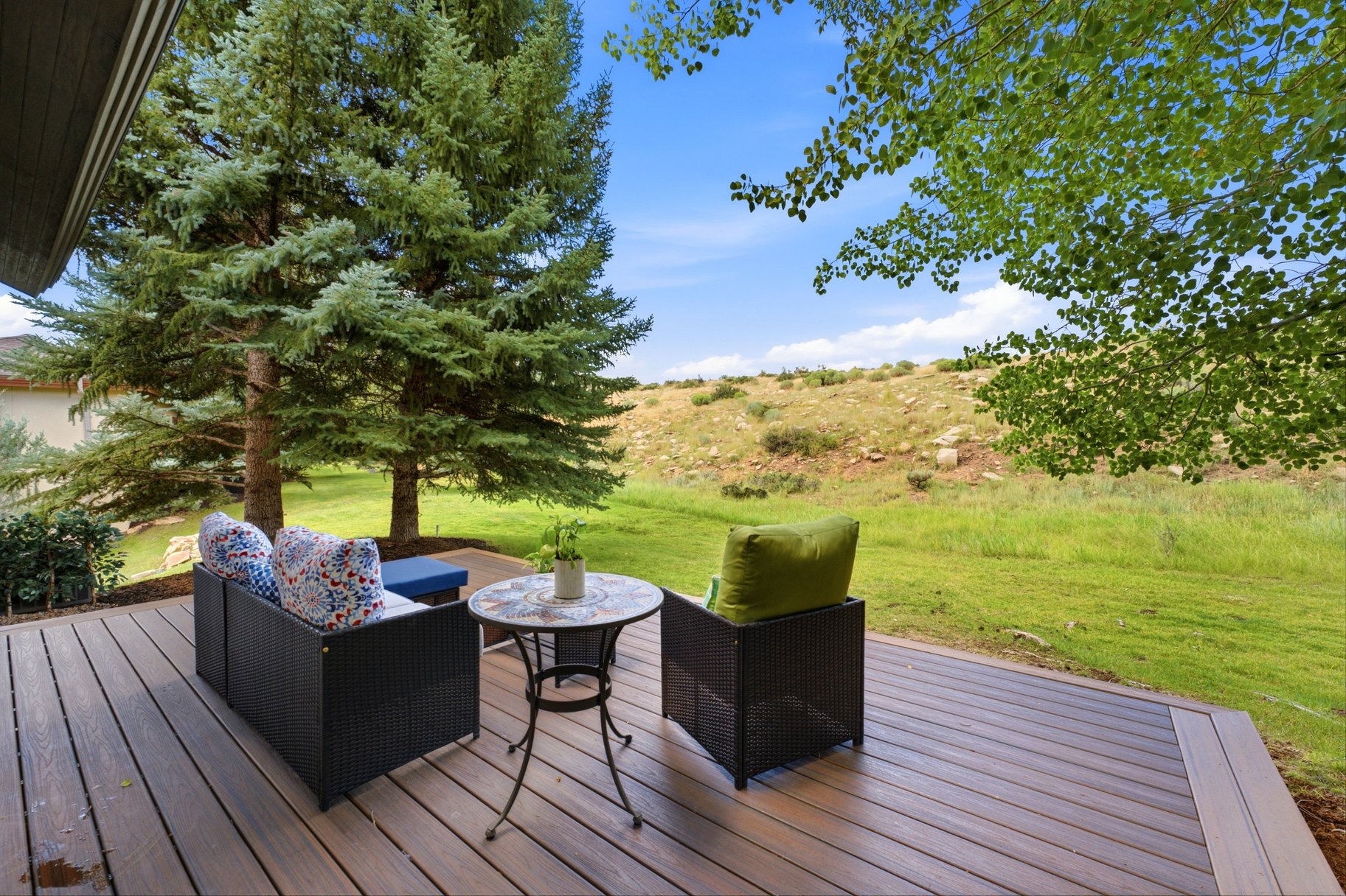  Park Meadows Gem With Big Views to the Mountains - 物件實景