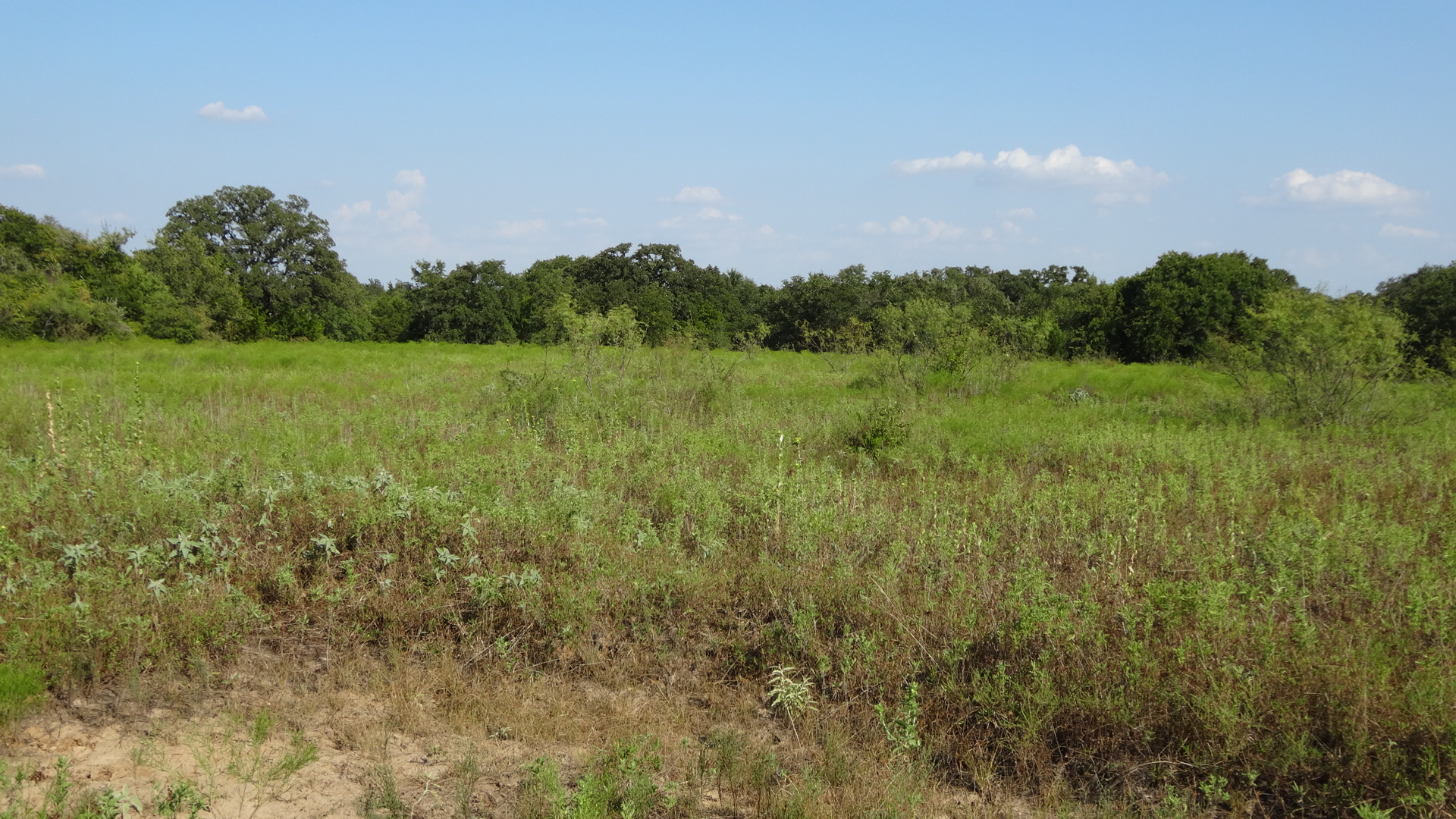 0 Highway 114, Boyd, Texas, 76023, United States, ,Residential,For Sale,0 Highway 114,1008641