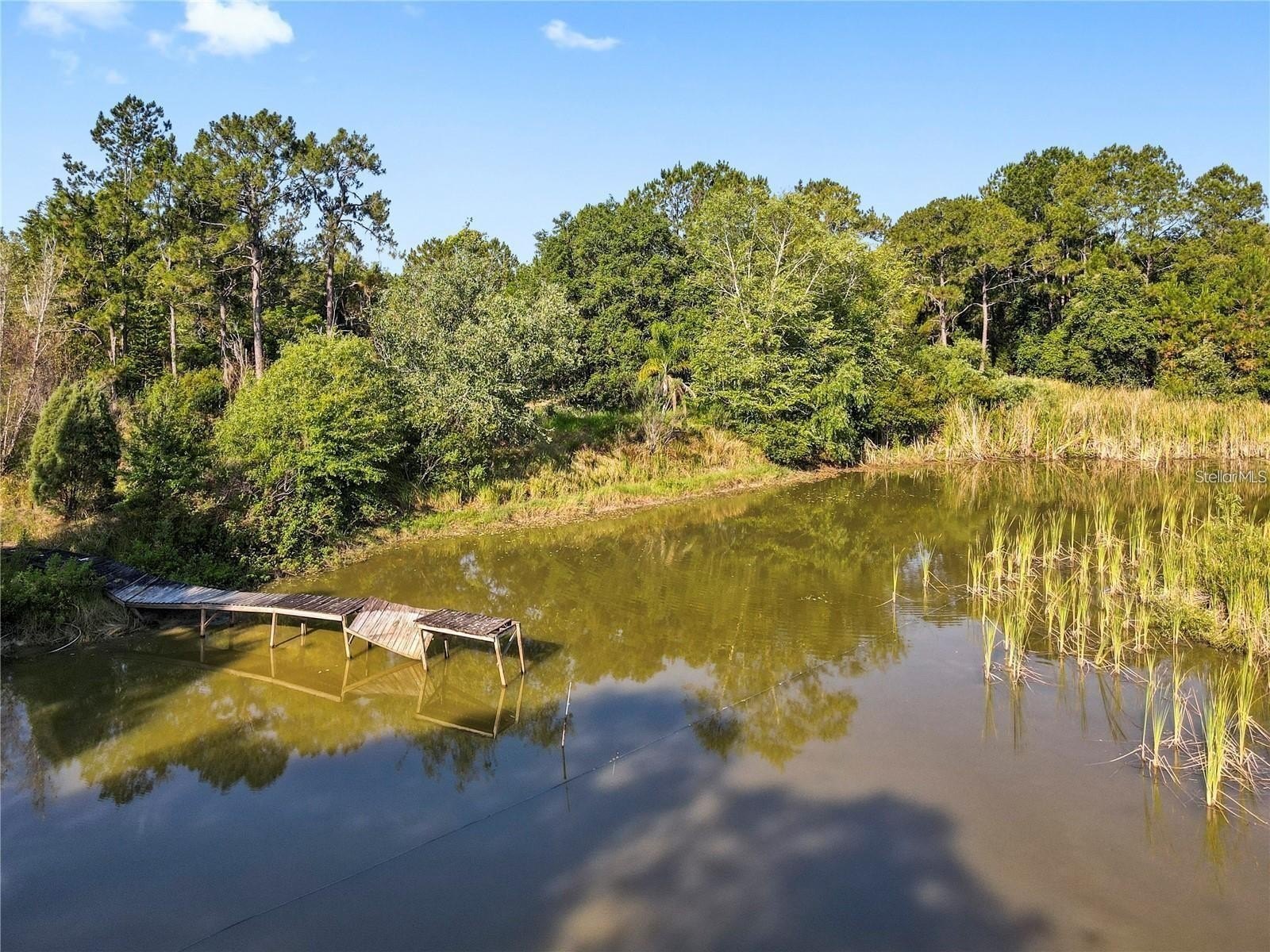 KATHLEEN, Florida, 33849, United States, 4 Bedrooms Bedrooms, ,3 BathroomsBathrooms,Residential,For Sale,1935100