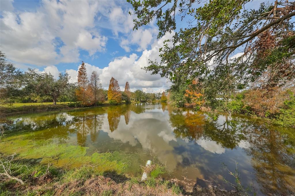 Wimauma, Florida, 33598, United States, ,Land,For Sale,1975638