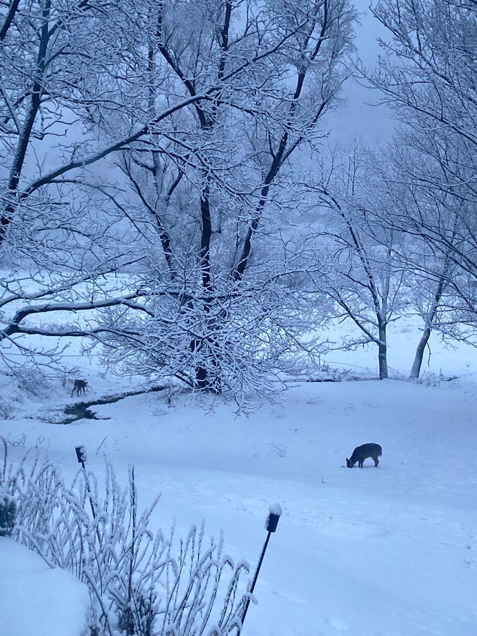 Winona, Minnesota, 55987, United States, 5 Bedrooms Bedrooms, ,2 BathroomsBathrooms,Residential,For Sale,2005788