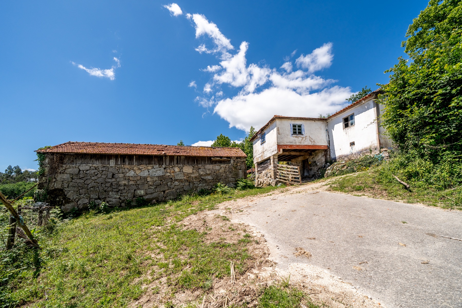  Farm for Sale - 物件實景