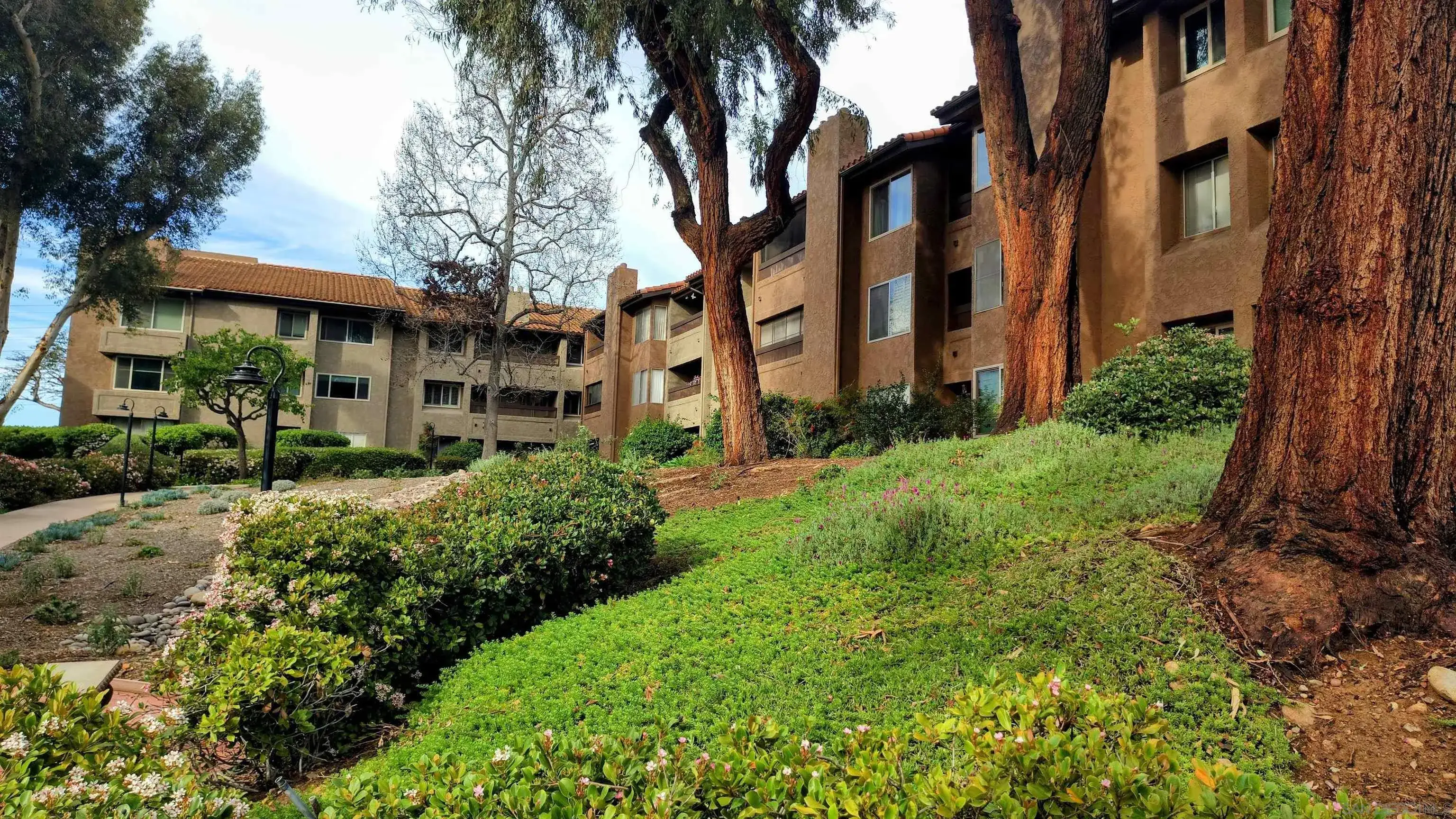 Caminito Cuervo , San Diego, CA 92108