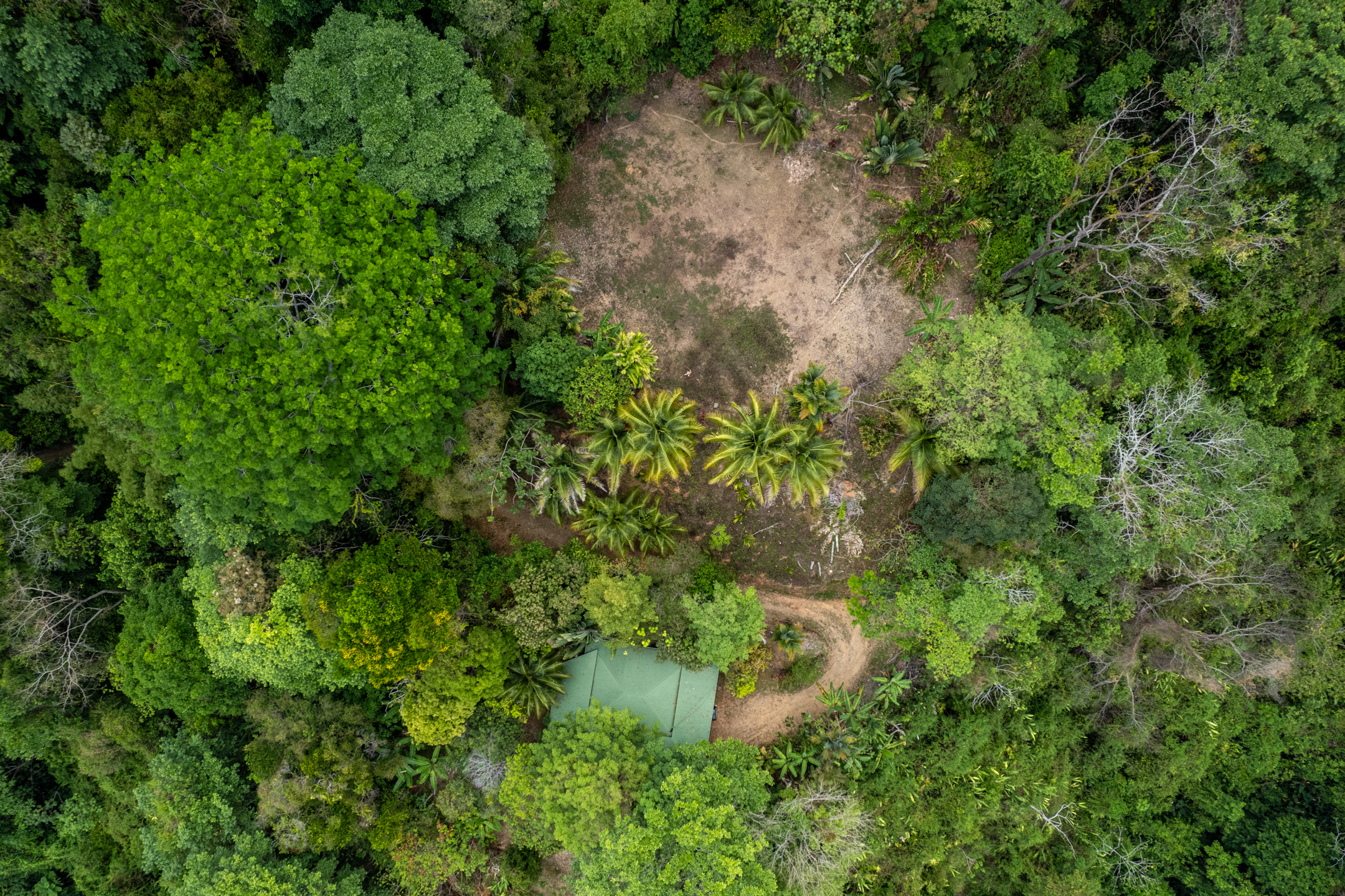 Lagunas, Dominical, Puntarenas, CR, 2 Bedrooms Bedrooms, ,1 BathroomBathrooms,Land,For Sale,Lagunas,1589118