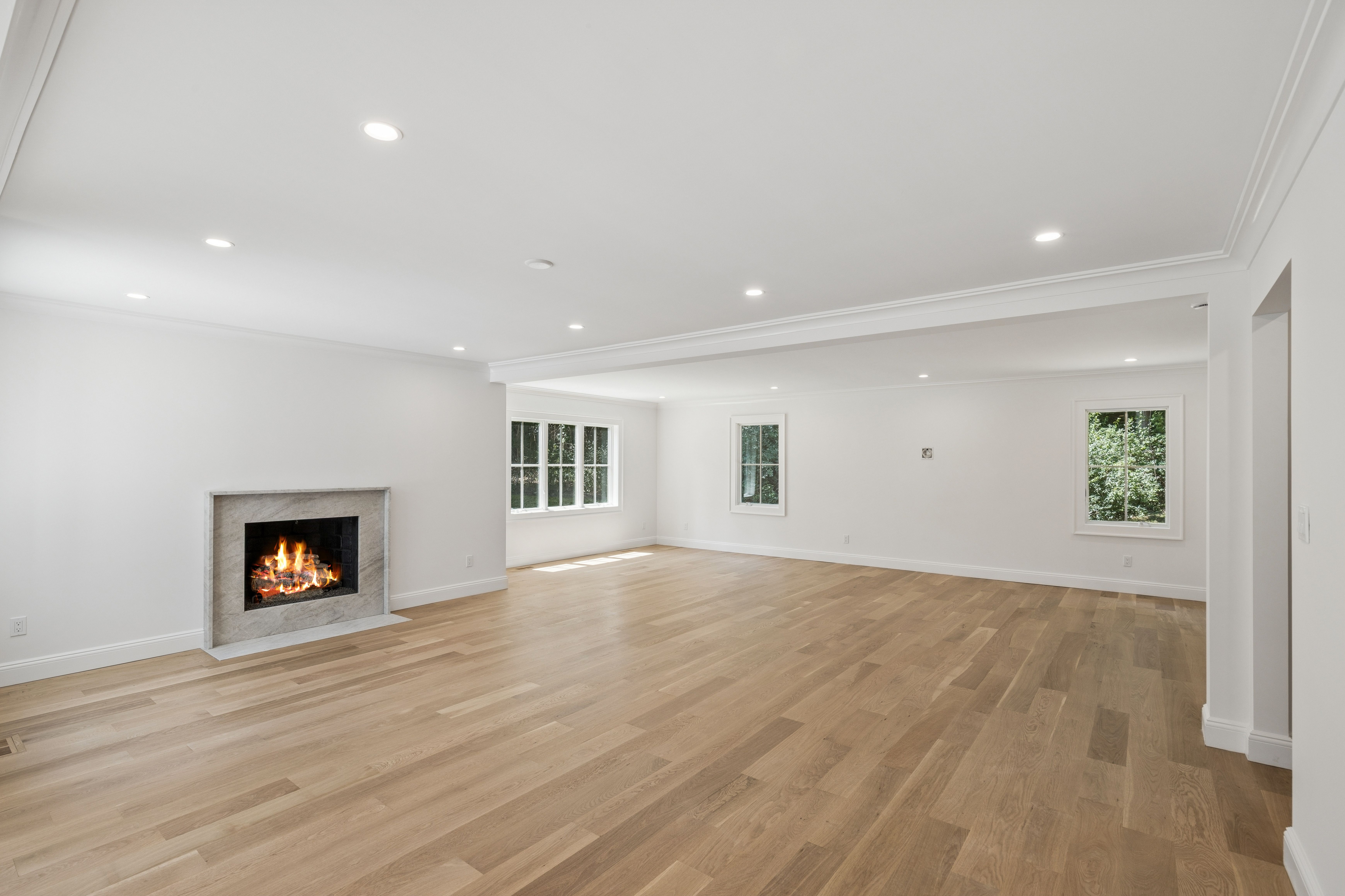  19# Woodvale, Laurel Hollow, NY, 11791 - 物件實景