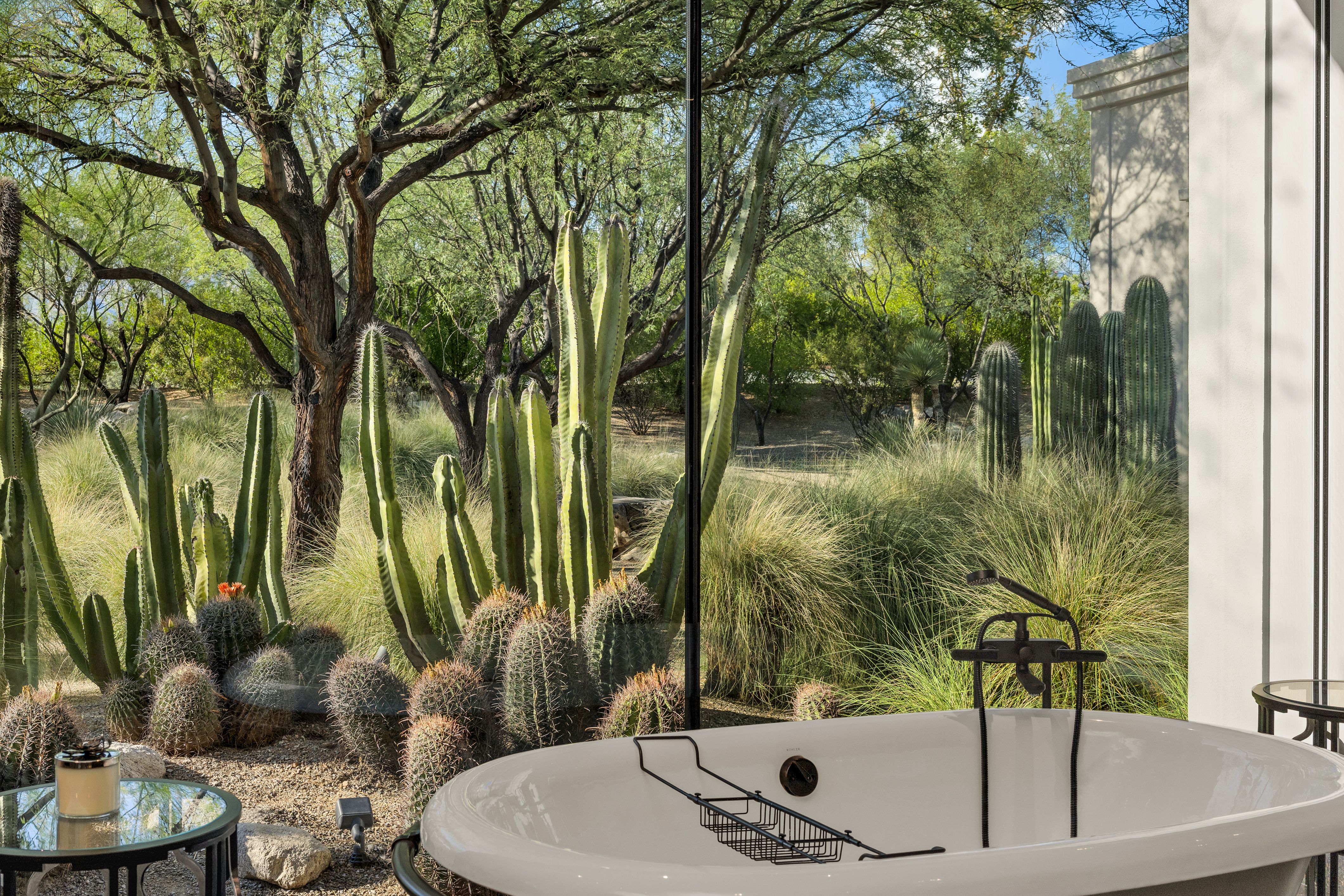  3978 N Canyon Ranch Drive¦Tucson, AZ - 物件實景