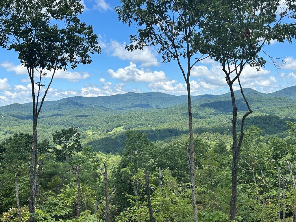 Mineral Bluff, Georgia, 30559, United States, 4 Bedrooms Bedrooms, ,4 BathroomsBathrooms,Residential,For Sale,2010498