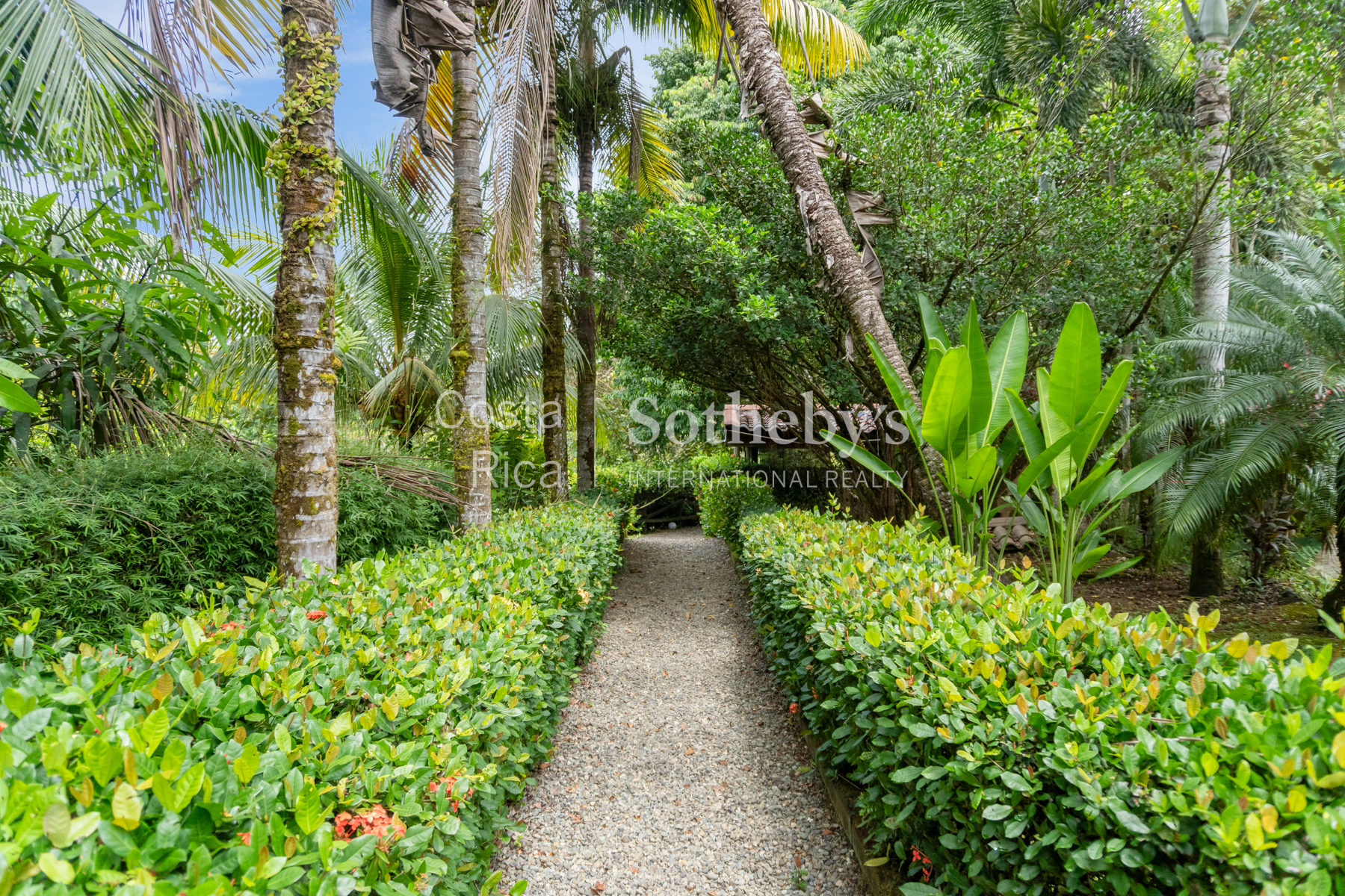  THE EMERALD SANCTUARY - PRIVATE JUNGLE VILLA WITH POOL IN OJOCHAL - 物件實景