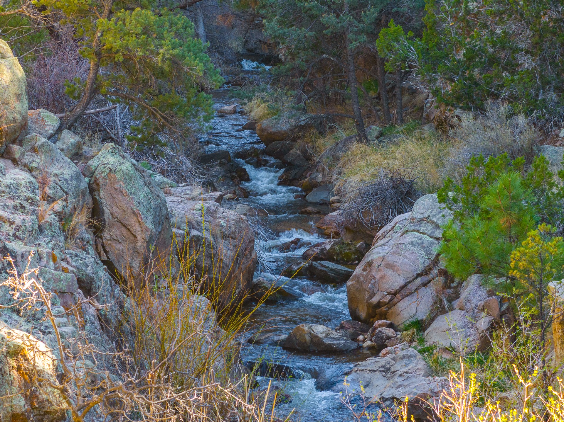  3.5 Acre Lot Camino Del Canon - 物件實景