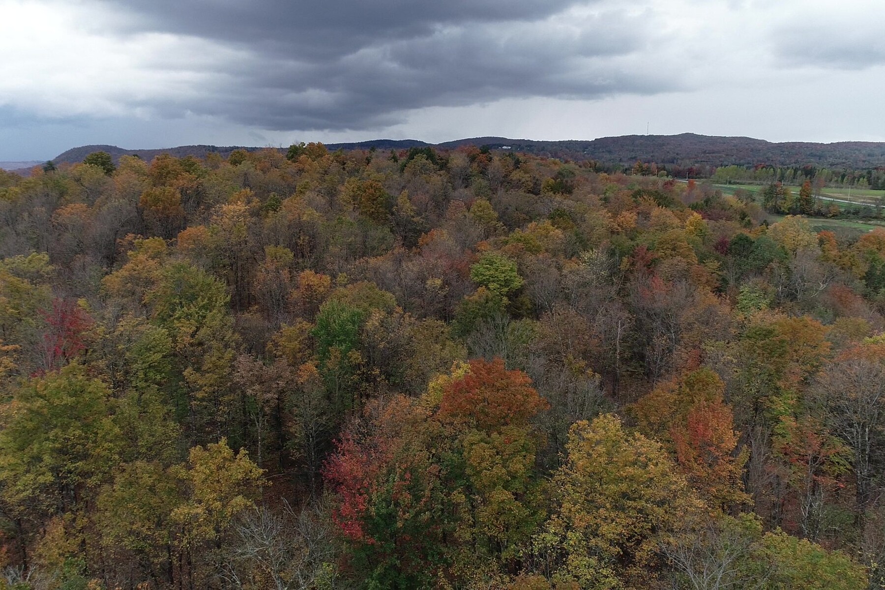  Sherbrooke (Lennoxville), Eastern Townships - 物件實景