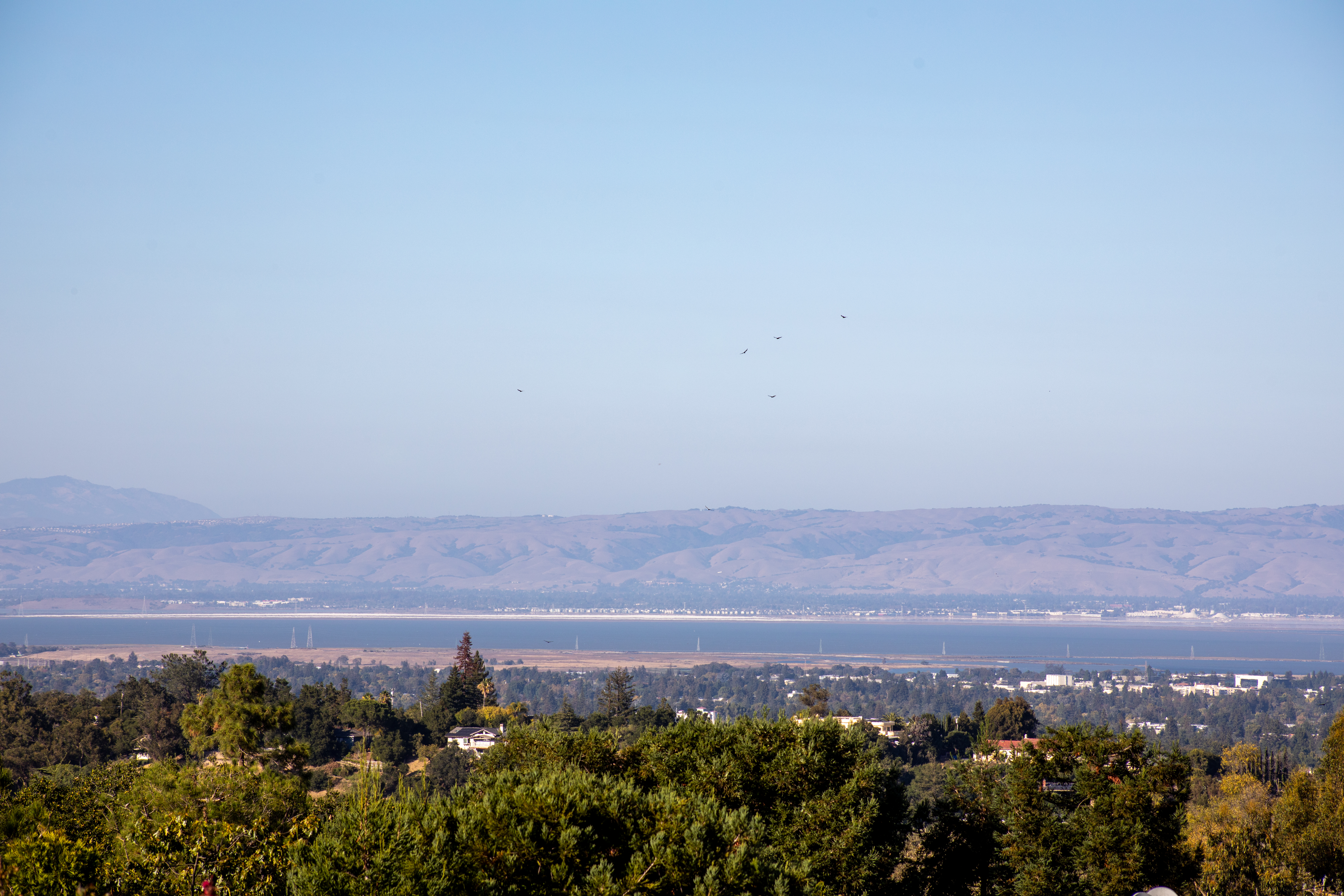  A Private Los Altos Hills Retreat, Designed for Living - 物件實景