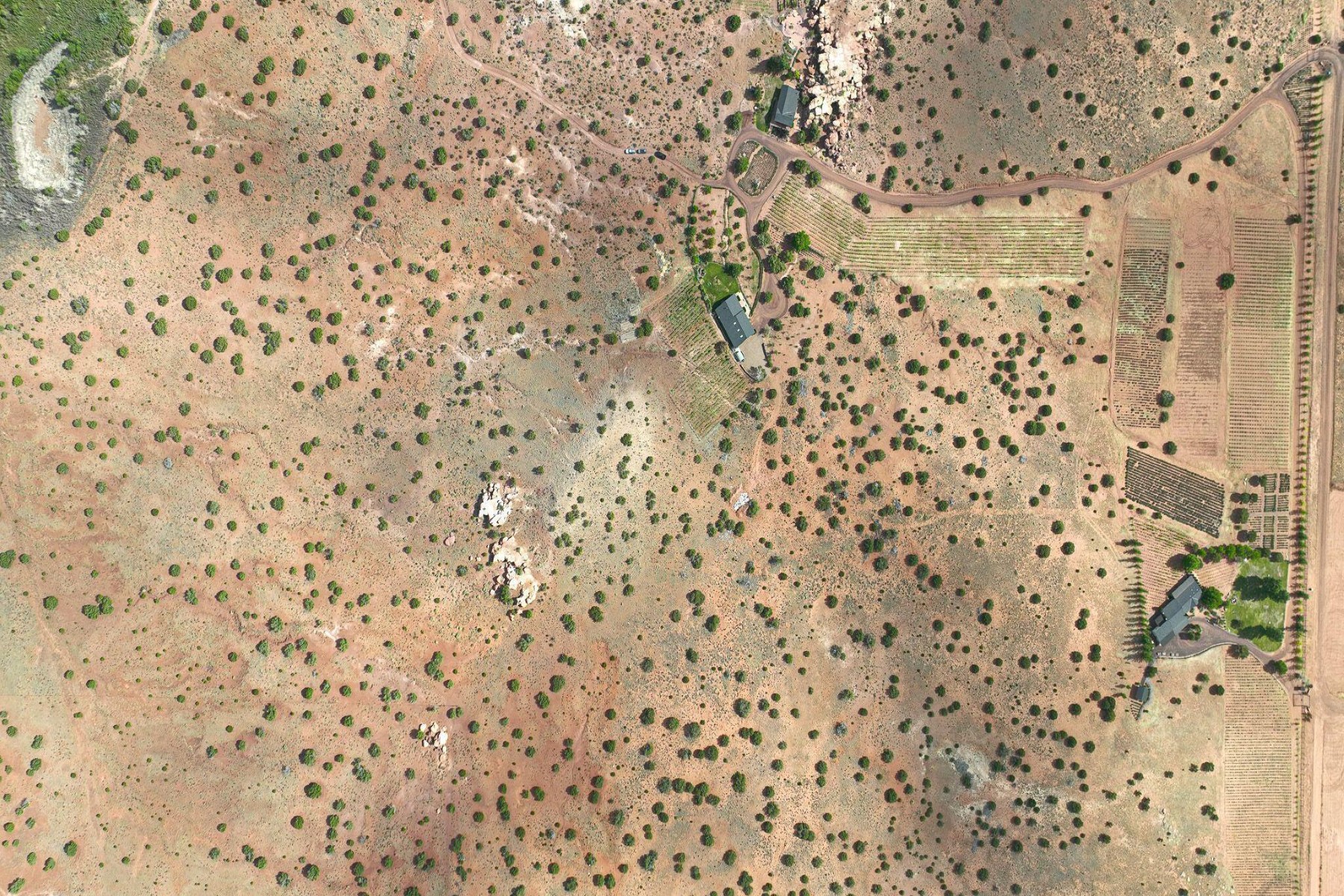  14 County Road 5309, Concho, AZ 85924 - 物件實景