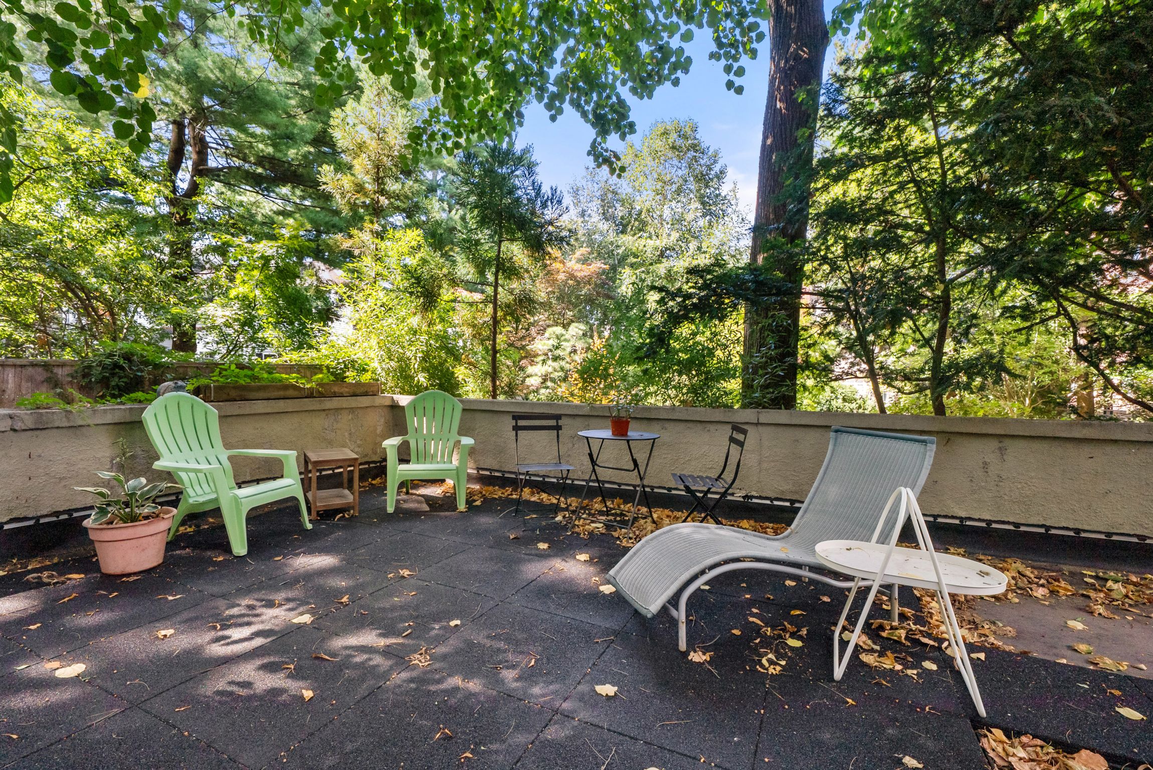  12 Chauncy Street - Unit 4, Cambridge, MA, 02138 - 物件實景