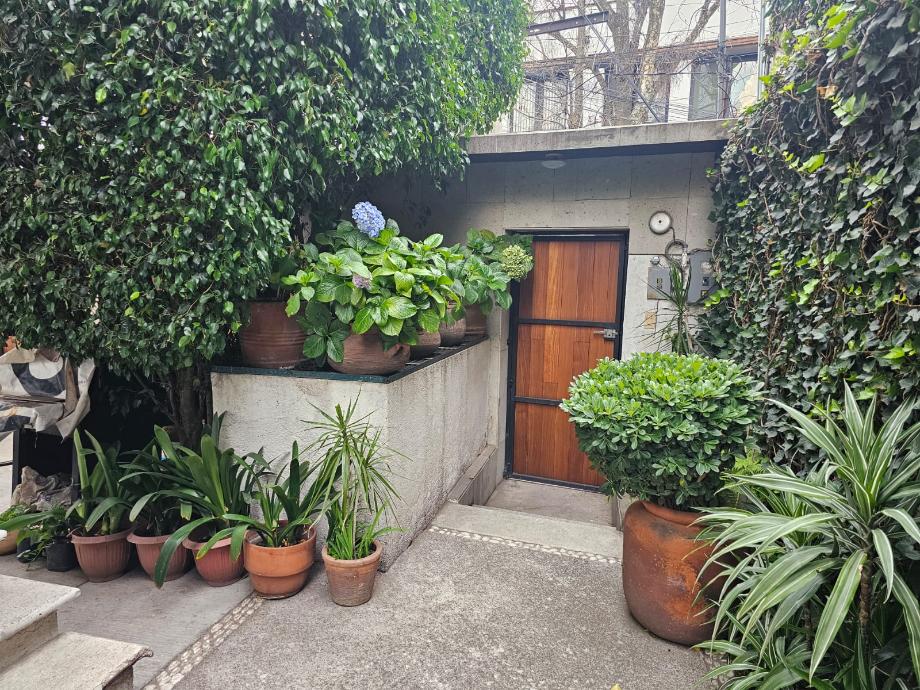 Palo Santo, Miguel Hidalgo, Ciudad de México, 11950, Mexico, 6 Bedrooms Bedrooms, ,2 BathroomsBathrooms,Residential,For Sale,Palo Santo,1627734
