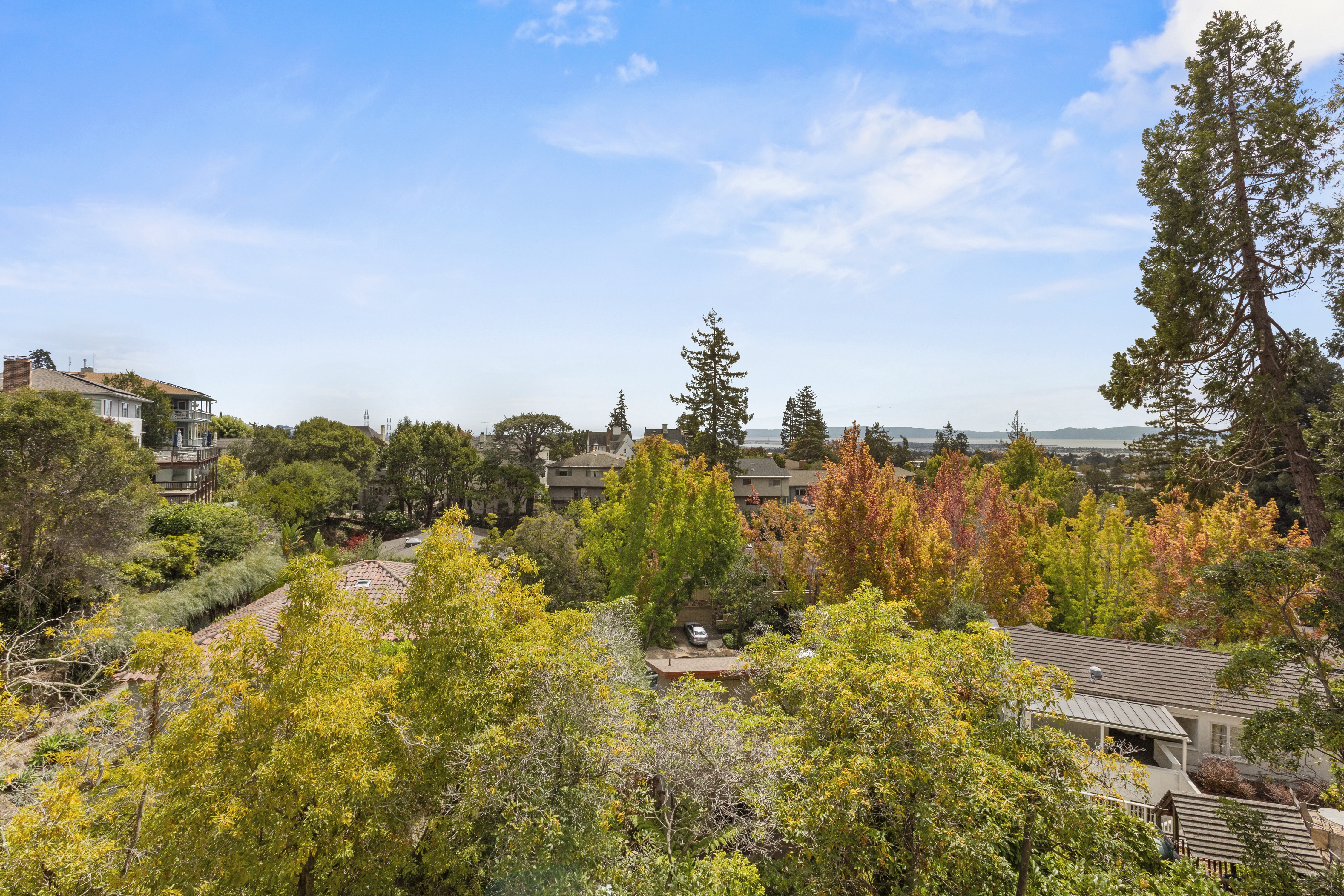  A Cherished Upper Piedmont Estate with Exceptional Views and Gardens - 物件實景
