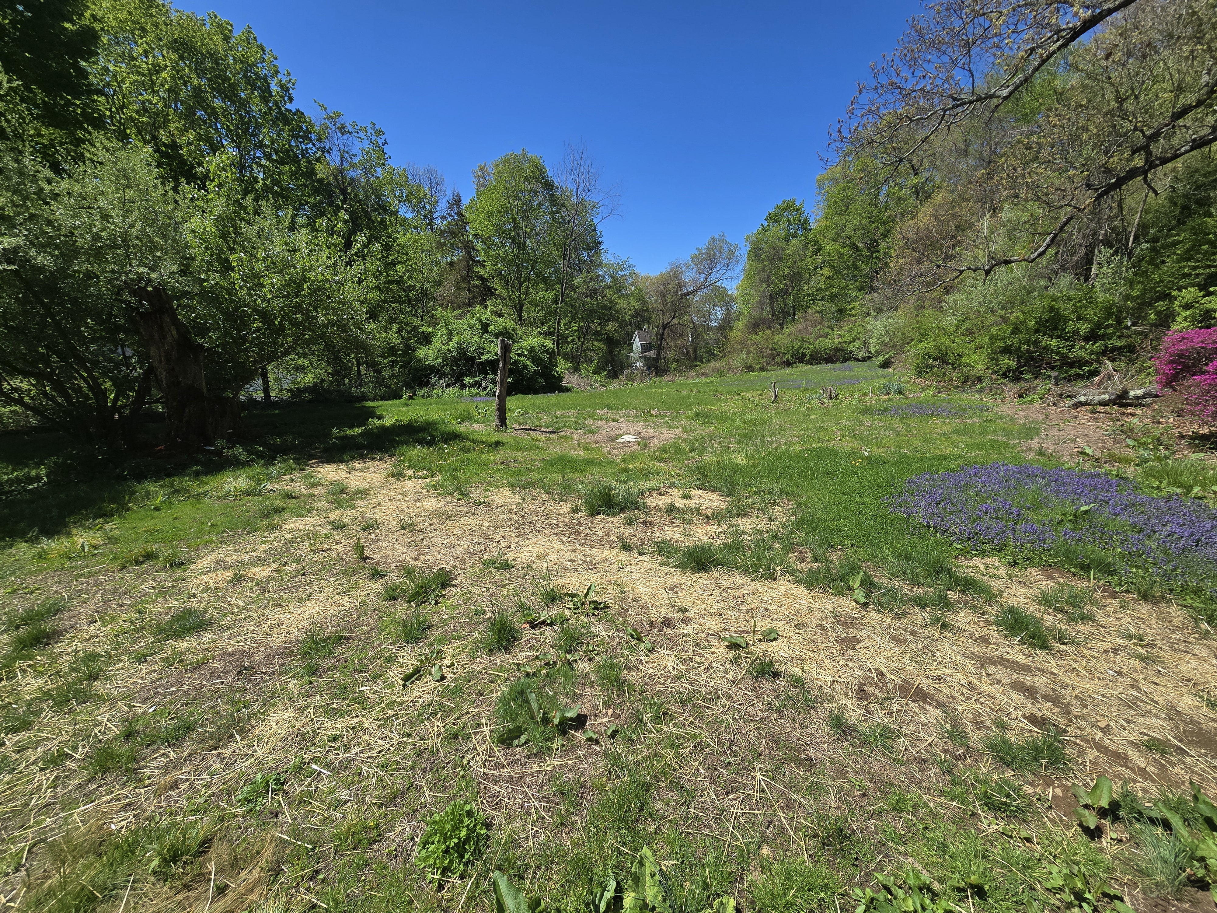 Beacon Falls, Connecticut, 06403, United States, 5 Bedrooms Bedrooms, ,2 BathroomsBathrooms,Residential,For Sale,2045464